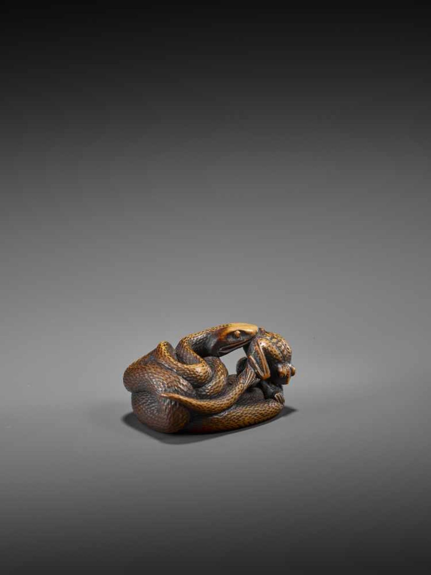 AN EXCELLENT WOOD NETSUKE OF A FROG WITH SNAKE, SANSUKUMI UnsignedJapan, late 18th century, Edo - Bild 2 aus 9