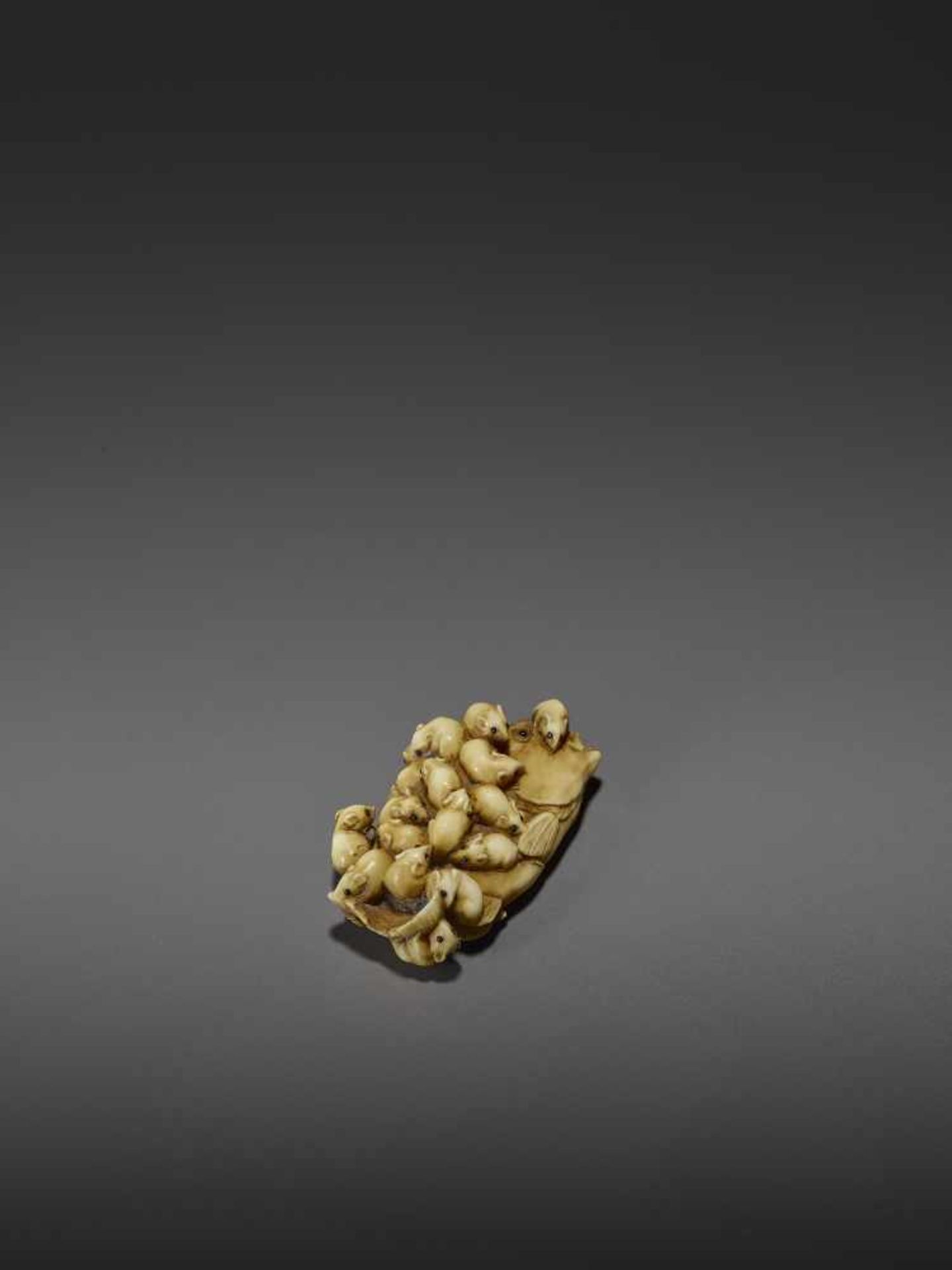 MASAMITSU: A FINE IVORY NETSUKE OF A SWARM OF RATS ON A SEA BREAM By Masamitsu, signed - Image 8 of 11