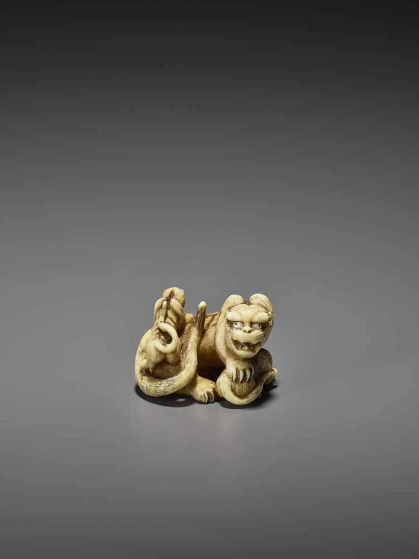 HAKURYU: AN EXCEPTIONAL IVORY NETSUKE OF A TIGER WITH TWO CUBS By Unsho Hakuryu II, signed - Bild 8 aus 12