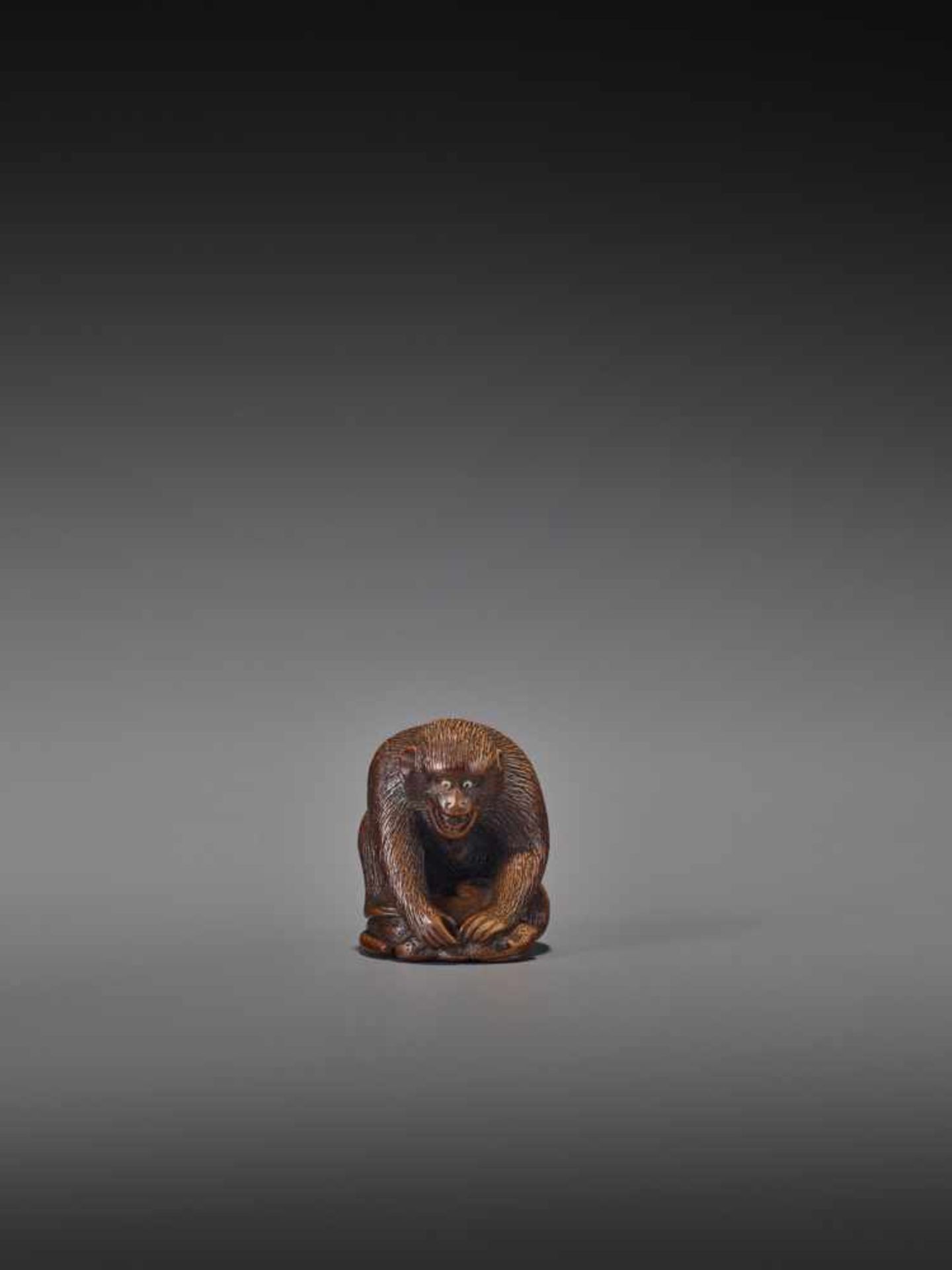 AN AMUSING WOOD NETSUKE OF A MONKEY HOLDING DOWN A FROG UnsignedJapan, Gifu, 19th century, Edo