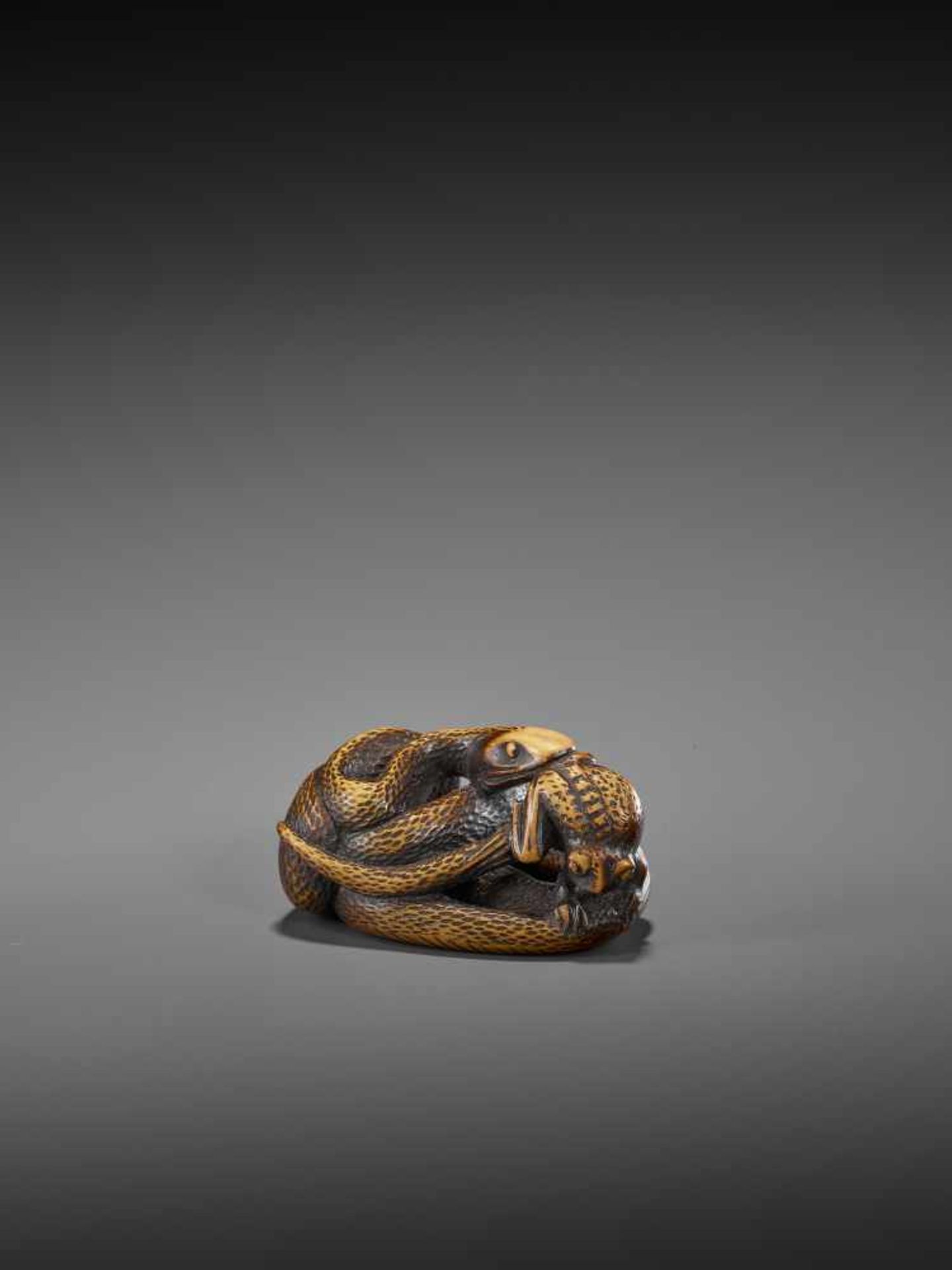 AN EXCELLENT WOOD NETSUKE OF A FROG WITH SNAKE, SANSUKUMI UnsignedJapan, late 18th century, Edo