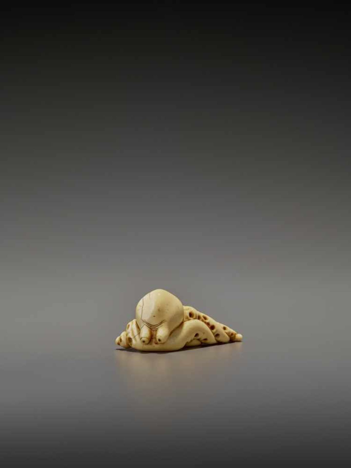 A RARE IVORY NETSUKE OF AN OCTOPUS UnsignedJapan, early 19th century, Edo period (1615-1868)The