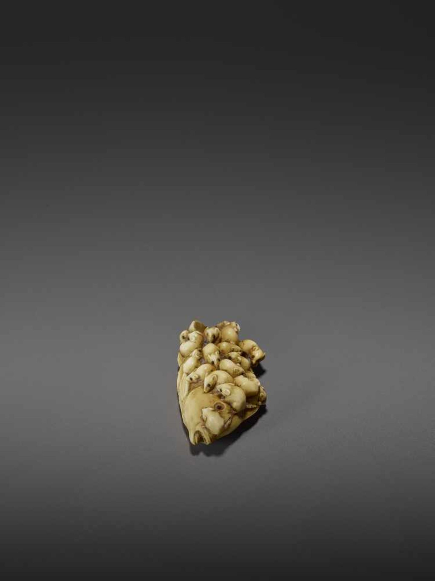 MASAMITSU: A FINE IVORY NETSUKE OF A SWARM OF RATS ON A SEA BREAM By Masamitsu, signed - Image 4 of 11