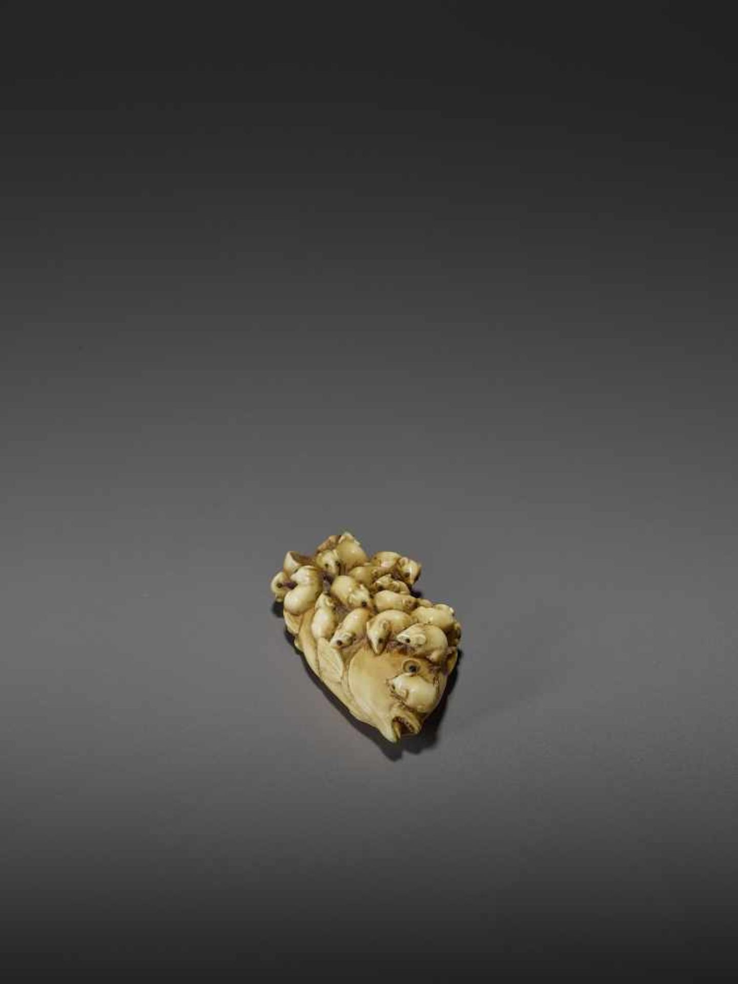 MASAMITSU: A FINE IVORY NETSUKE OF A SWARM OF RATS ON A SEA BREAM By Masamitsu, signed - Image 3 of 11