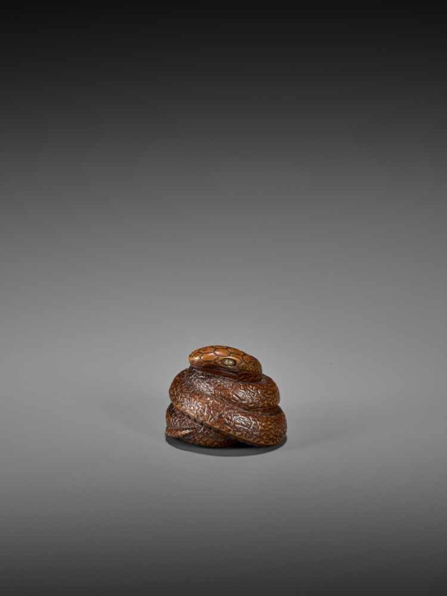 SARI: A FINE WOOD NETSUKE OF A COILED SNAKE By Sari, signed SariJapan, Iwashiro, early 19th century, - Image 5 of 9