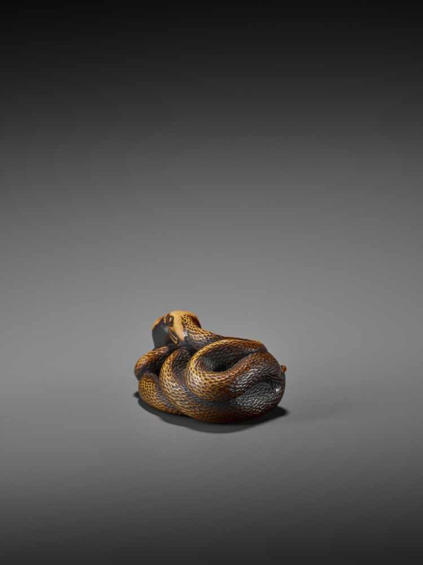 AN EXCELLENT WOOD NETSUKE OF A FROG WITH SNAKE, SANSUKUMI UnsignedJapan, late 18th century, Edo - Image 4 of 9