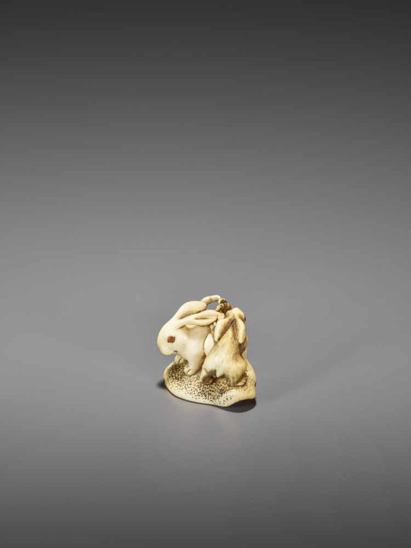 MITSUTADA: A FINE IVORY NETSUKE OF A RABBIT AND YOUNG By Mitsutada, signed MitsutadaJapan, Osaka, - Image 7 of 11