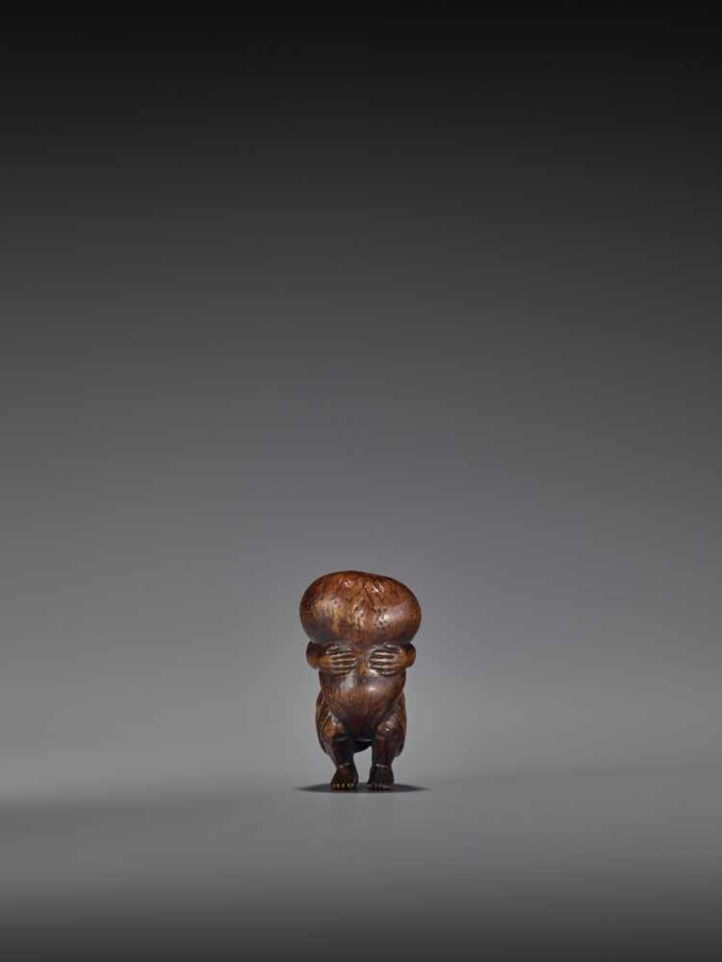 TOMOMASA: AN AMUSING WOOD NETSUKE OF A TANUKI WITH GIANT SCROTUM By Tomomasa, signed - Image 5 of 8