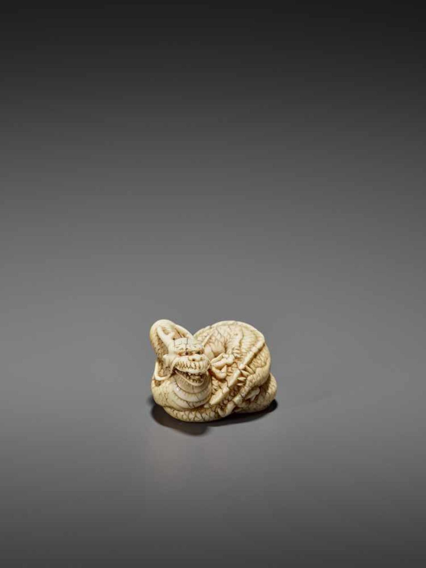 A GOOD IVORY NETSUKE OF A COILED DRAGON UnsignedJapan, Kyoto, late 18th to early 19th century, Edo