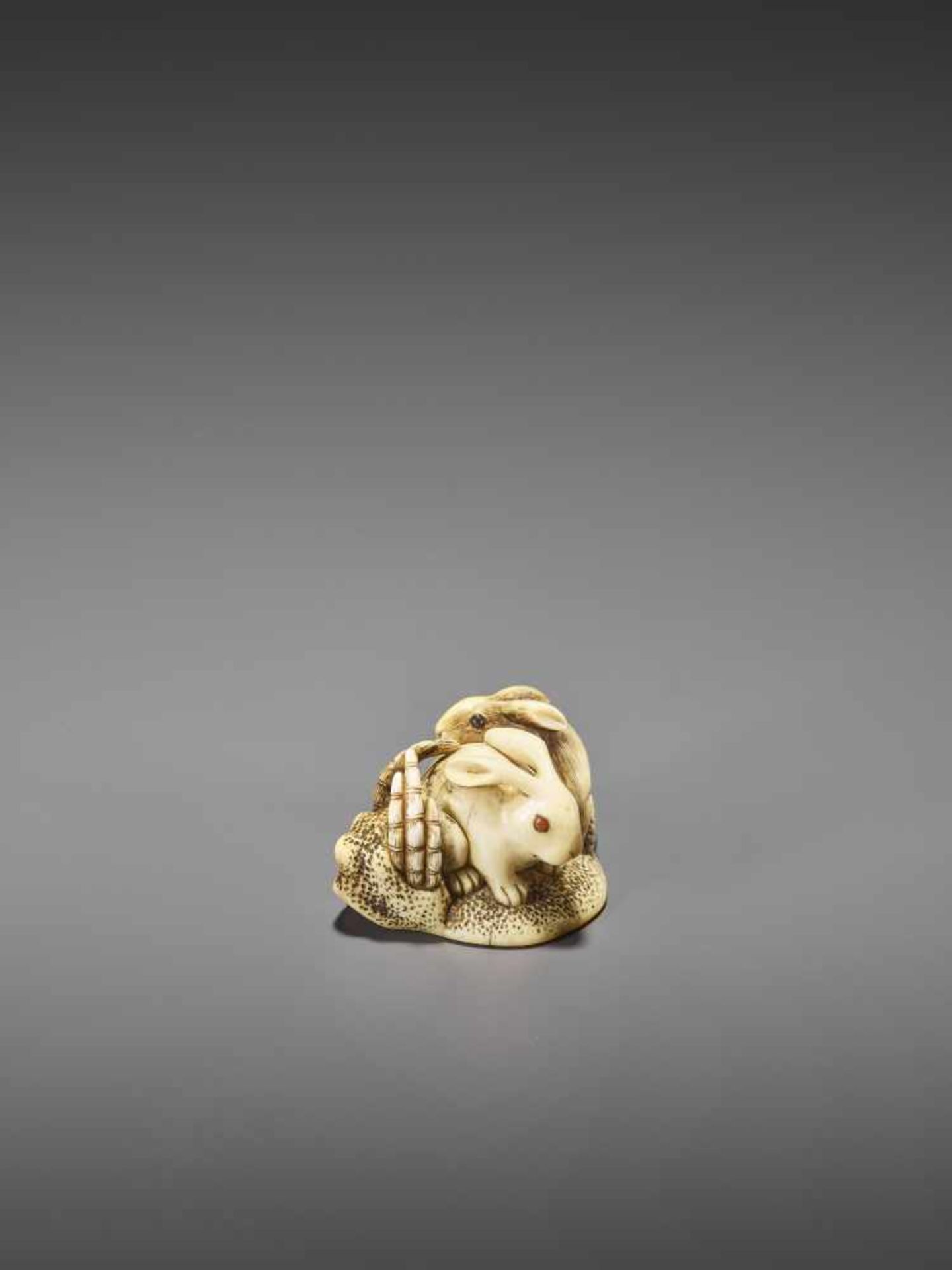 MITSUTADA: A FINE IVORY NETSUKE OF A RABBIT AND YOUNG By Mitsutada, signed MitsutadaJapan, Osaka, - Image 3 of 11