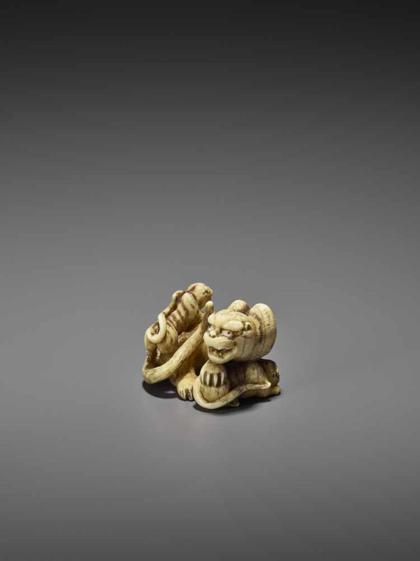 HAKURYU: AN EXCEPTIONAL IVORY NETSUKE OF A TIGER WITH TWO CUBS By Unsho Hakuryu II, signed - Bild 3 aus 12