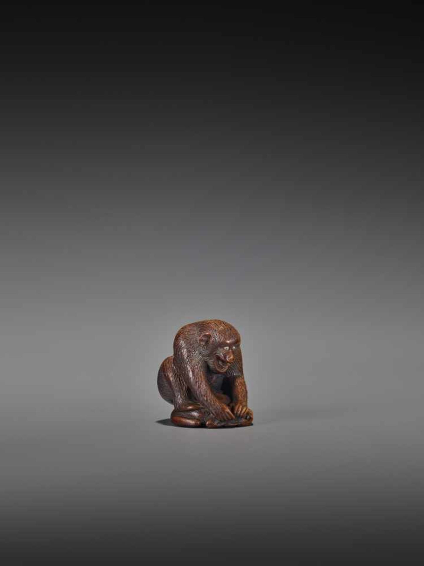 AN AMUSING WOOD NETSUKE OF A MONKEY HOLDING DOWN A FROG UnsignedJapan, Gifu, 19th century, Edo - Bild 9 aus 9