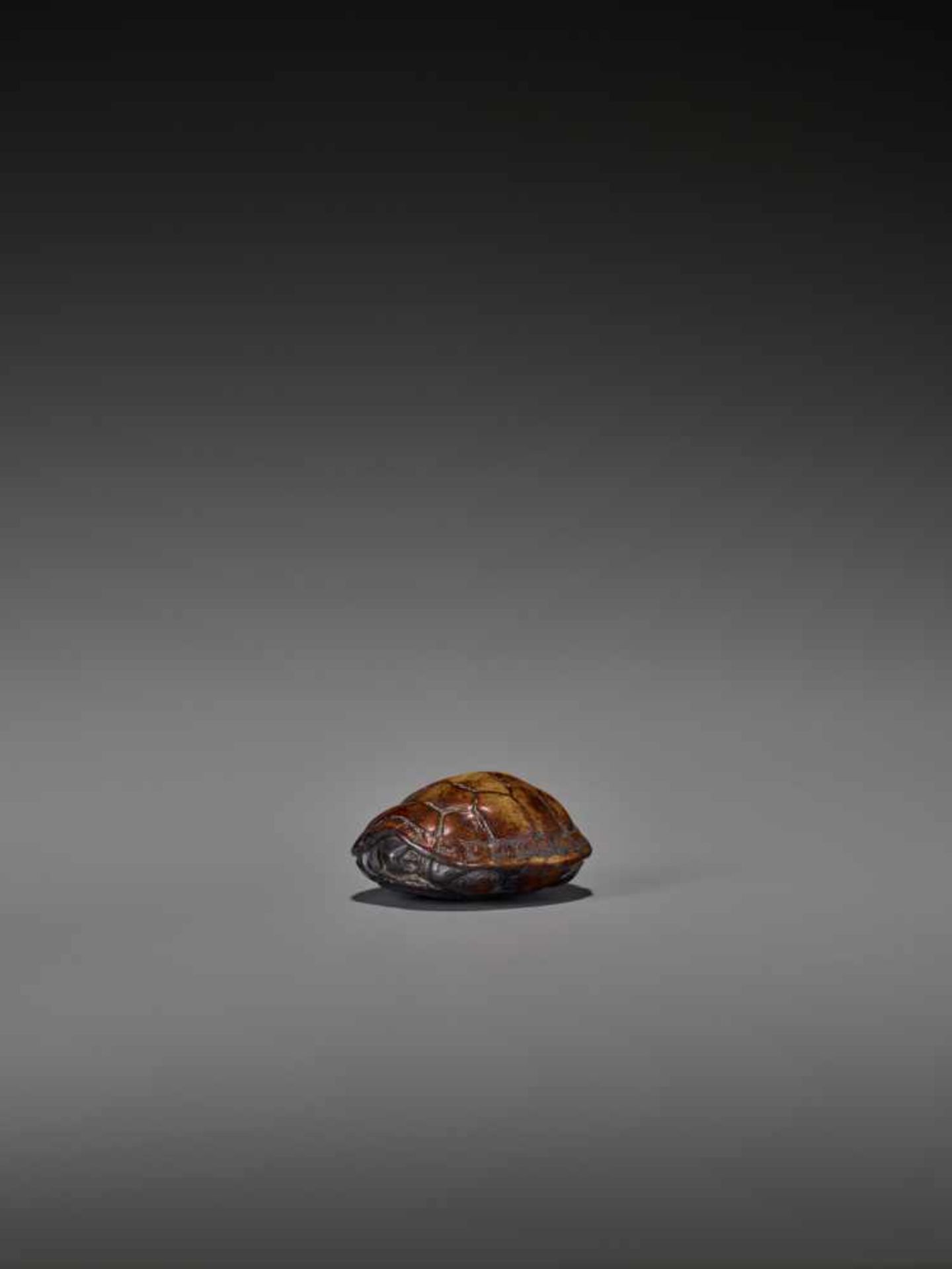 A WOOD NETSUKE OF A RETRACTED TORTOISE UnsignedJapan, 18th century, Edo period (1615-1868)This early - Image 3 of 10
