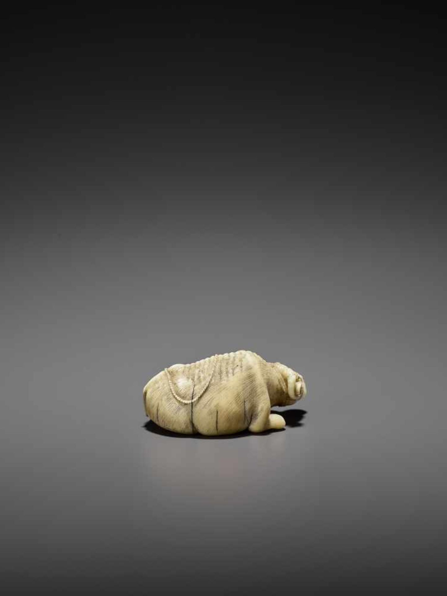 MITSUCHIKA: A LARGE AND RARE WALRUS IVORY NETSUKE OF A RECUMBENT COW WITH CALF By Mitsuchika, signed - Image 8 of 13