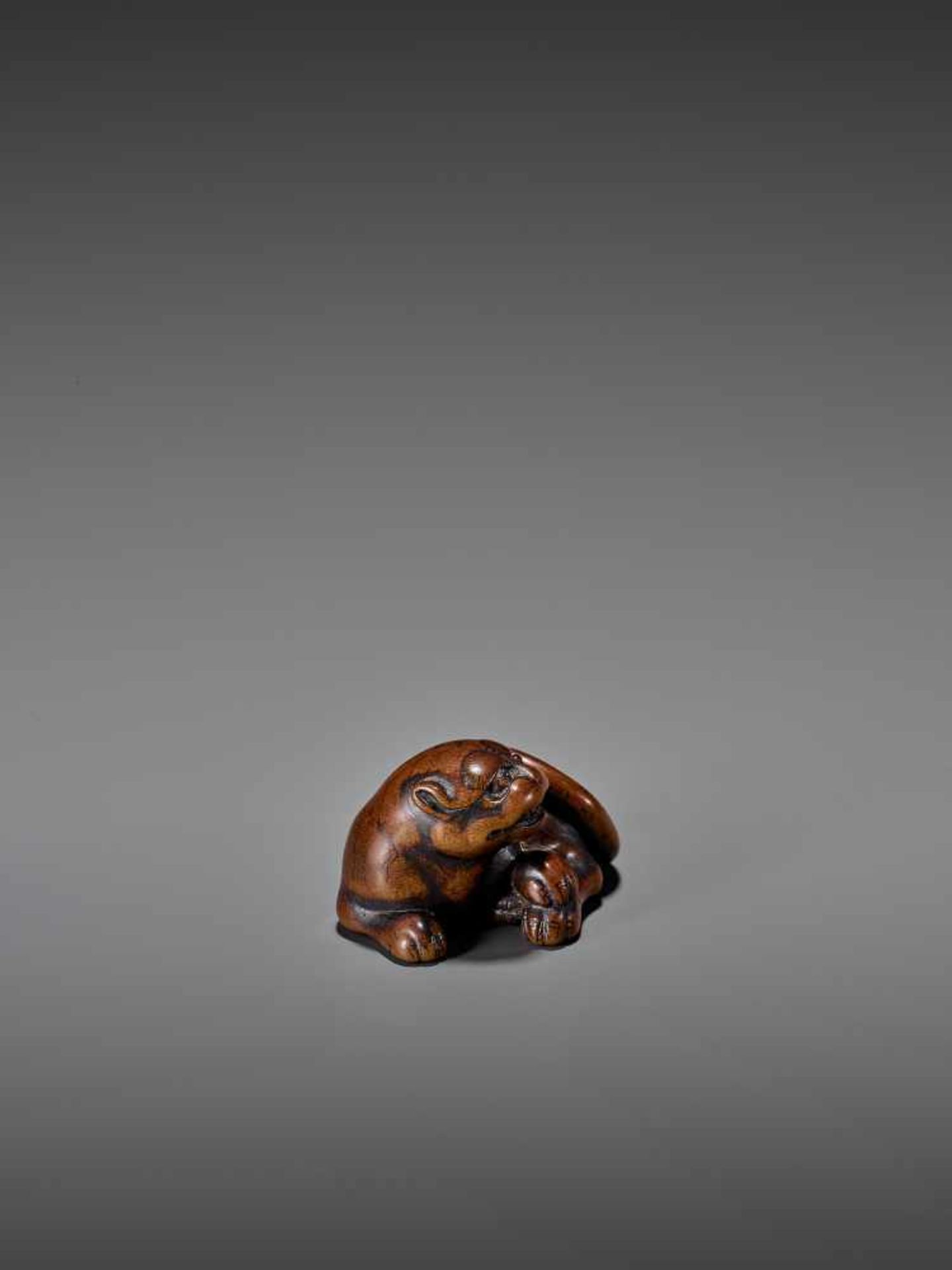 AN AMUSING WOOD NETSUKE OF A RECUMBENT TIGER UnsignedJapan, early 19th century, Edo period (1615- - Bild 6 aus 9