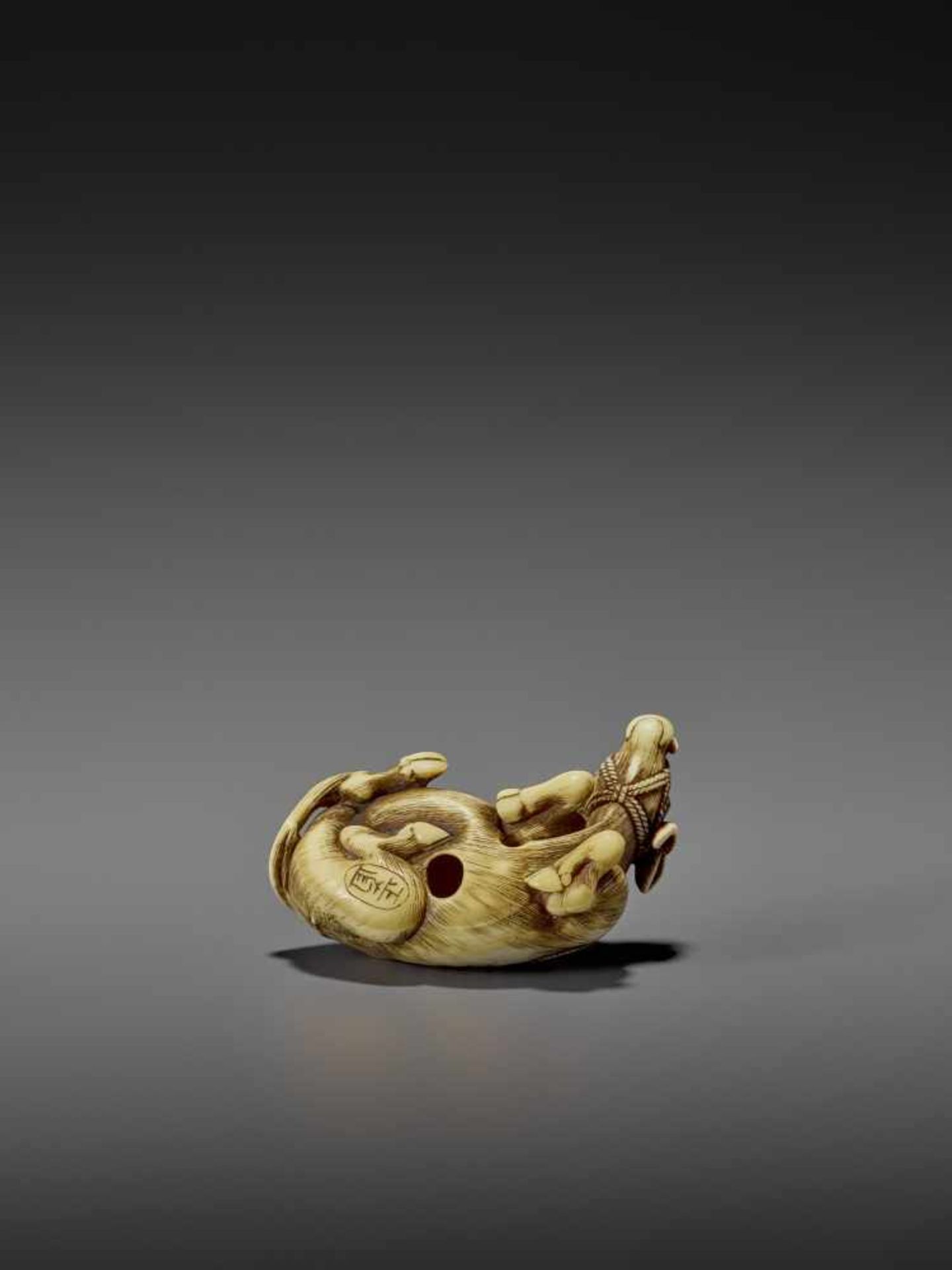MASANAO: AN EXCELLENT IVORY NETSUKE OF A RECUMBENT COW By Masanao of Kyoto, signed MasanaoJapan, - Image 3 of 12