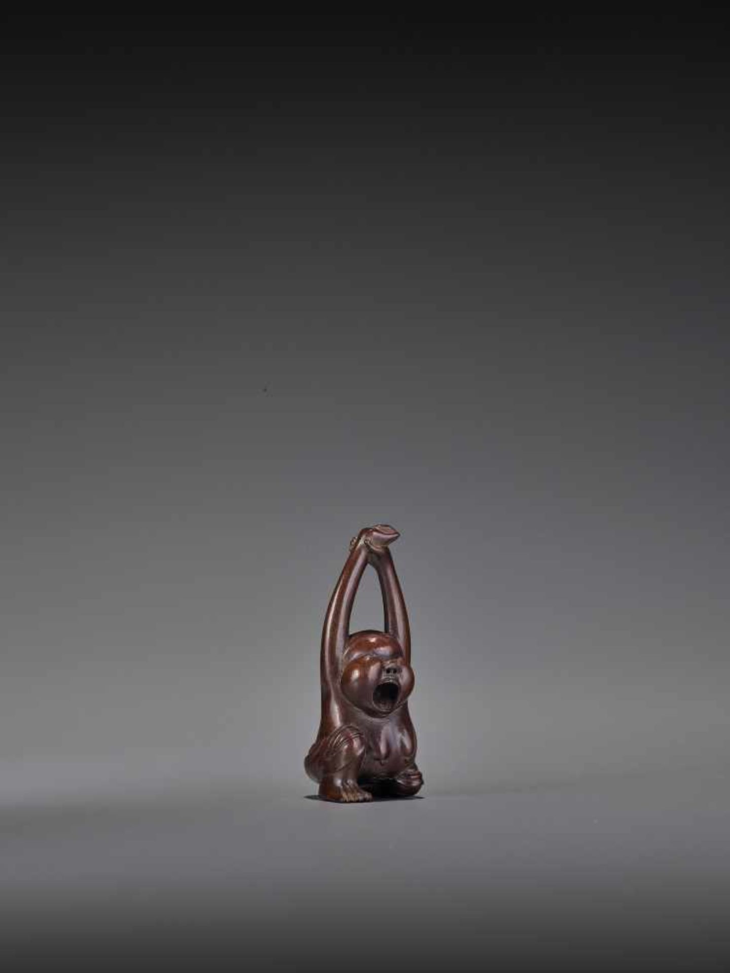 MASAKAZU: A FINE WOOD NETSUKE OF A YAWNING OKAME By Masakazu, signed MasakazuJapan, Gifu, 19th - Bild 7 aus 10