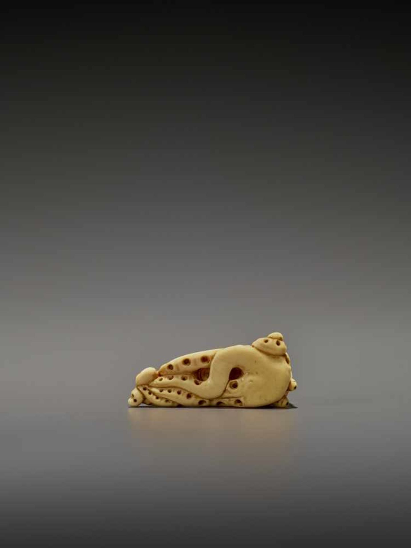 A RARE IVORY NETSUKE OF AN OCTOPUS UnsignedJapan, early 19th century, Edo period (1615-1868)The - Bild 2 aus 11