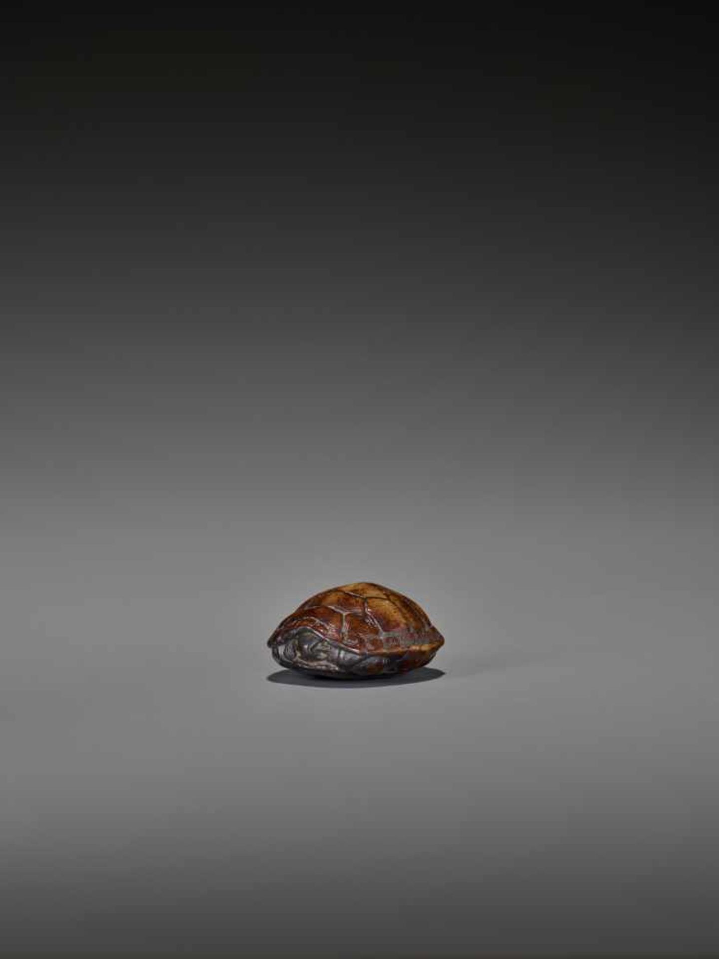 A WOOD NETSUKE OF A RETRACTED TORTOISE UnsignedJapan, 18th century, Edo period (1615-1868)This early - Image 4 of 10