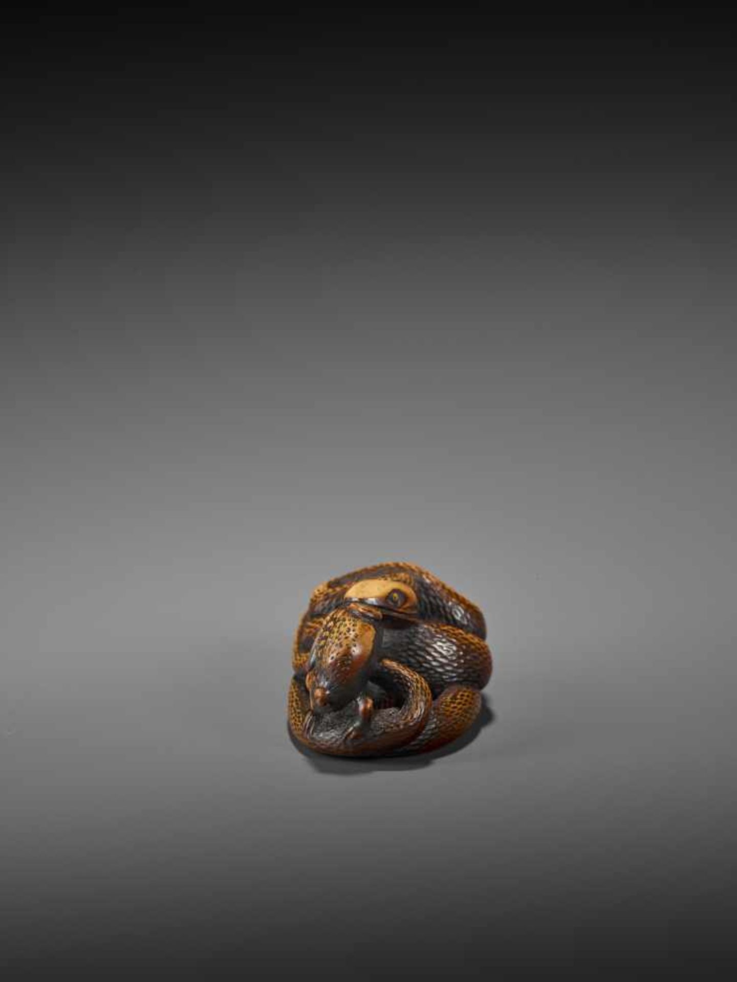 AN EXCELLENT WOOD NETSUKE OF A FROG WITH SNAKE, SANSUKUMI UnsignedJapan, late 18th century, Edo - Image 6 of 9