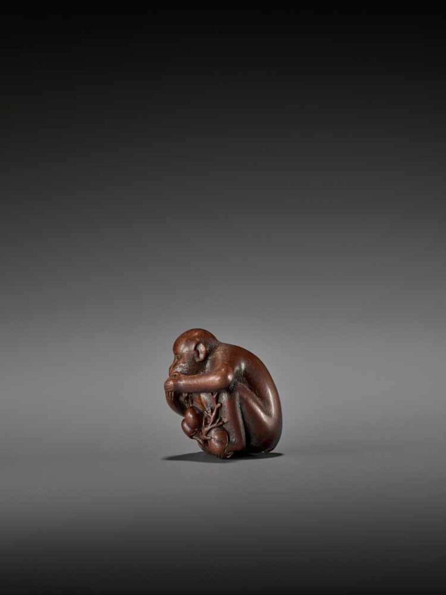 TOMOKAZU: AN EXCELLENT WOOD NETSUKE OF A MONKEY EATING PERSIMMONS By Kano Tomokazu, signed - Bild 5 aus 11