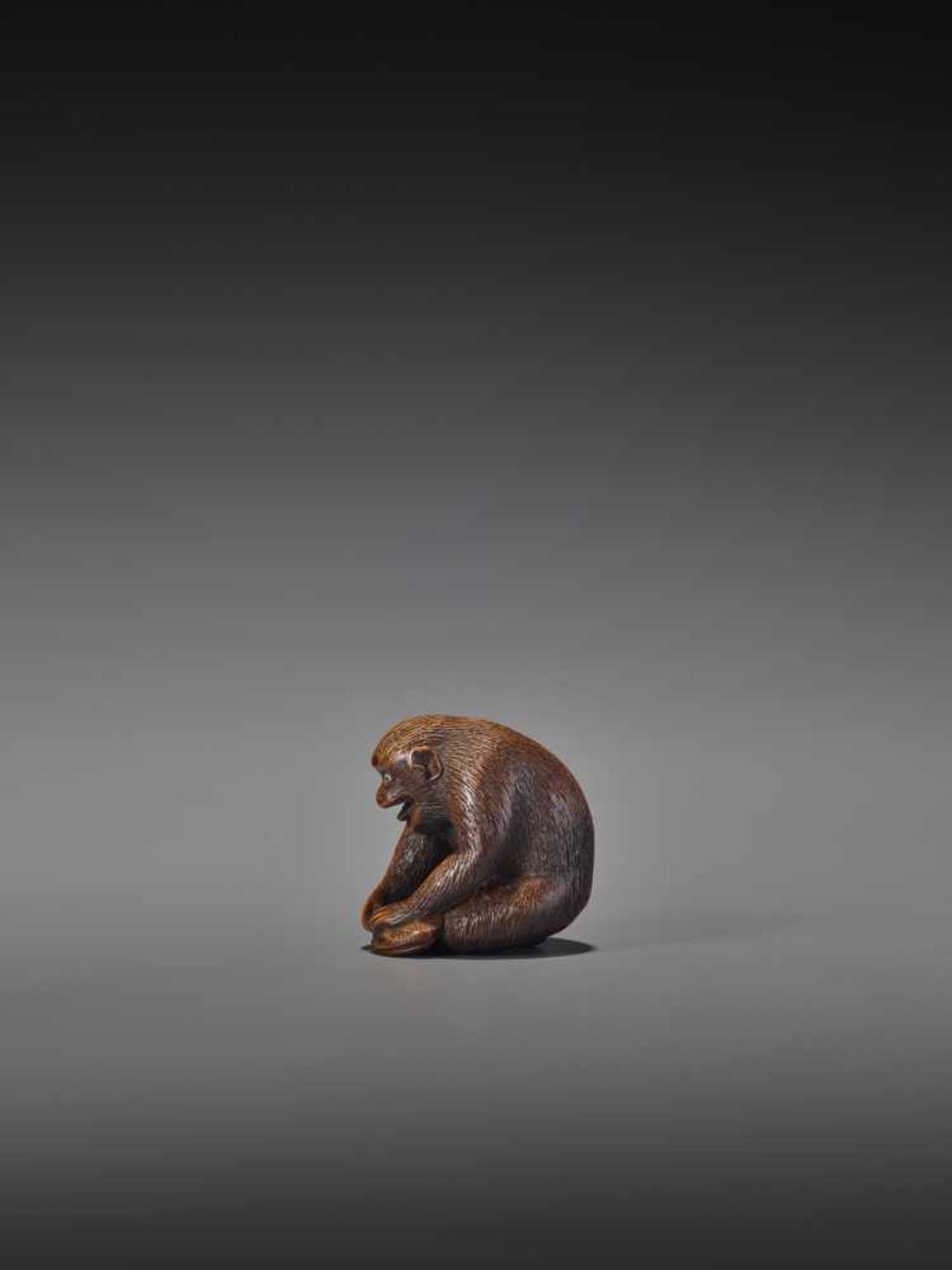 AN AMUSING WOOD NETSUKE OF A MONKEY HOLDING DOWN A FROG UnsignedJapan, Gifu, 19th century, Edo - Bild 6 aus 9