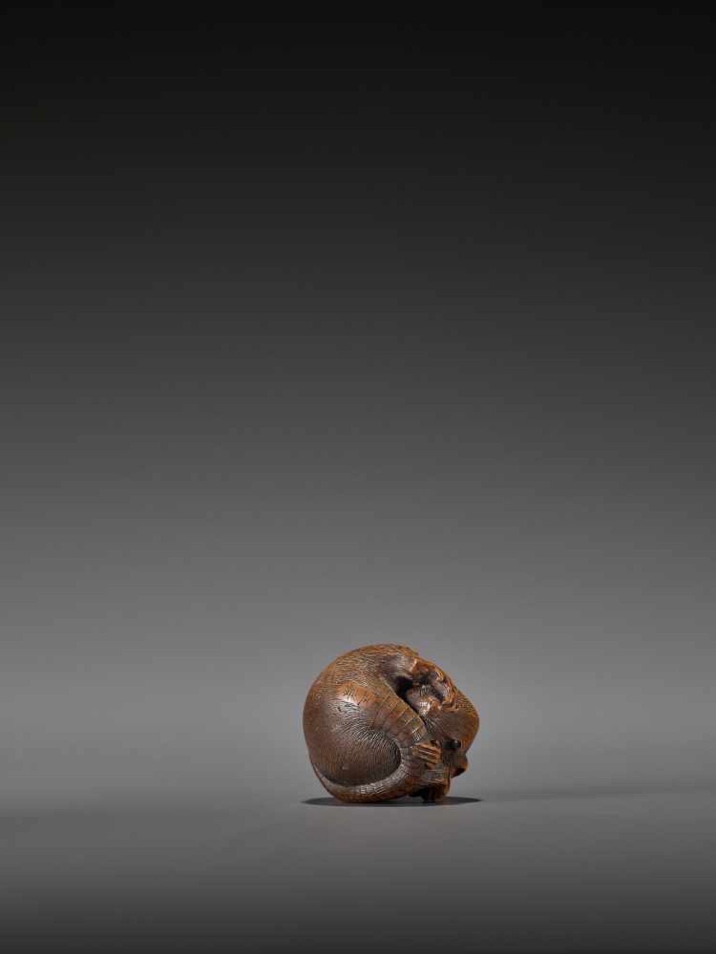 MASAKATSU: A FINE WOOD NETSUKE OF A COILED RAT By Masakatsu, signed MasakatsuJapan, Yamada, Ise - Bild 9 aus 10