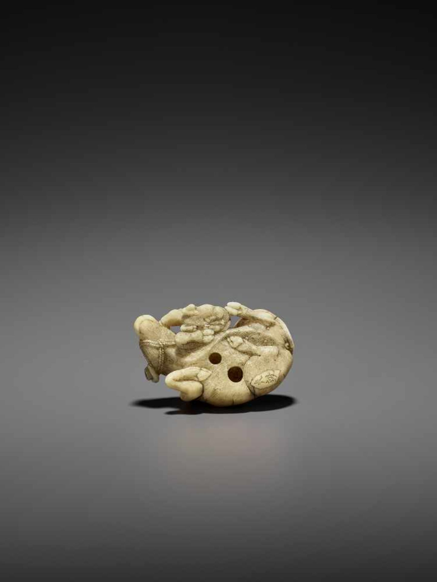 MITSUCHIKA: A LARGE AND RARE WALRUS IVORY NETSUKE OF A RECUMBENT COW WITH CALF By Mitsuchika, signed - Image 11 of 13