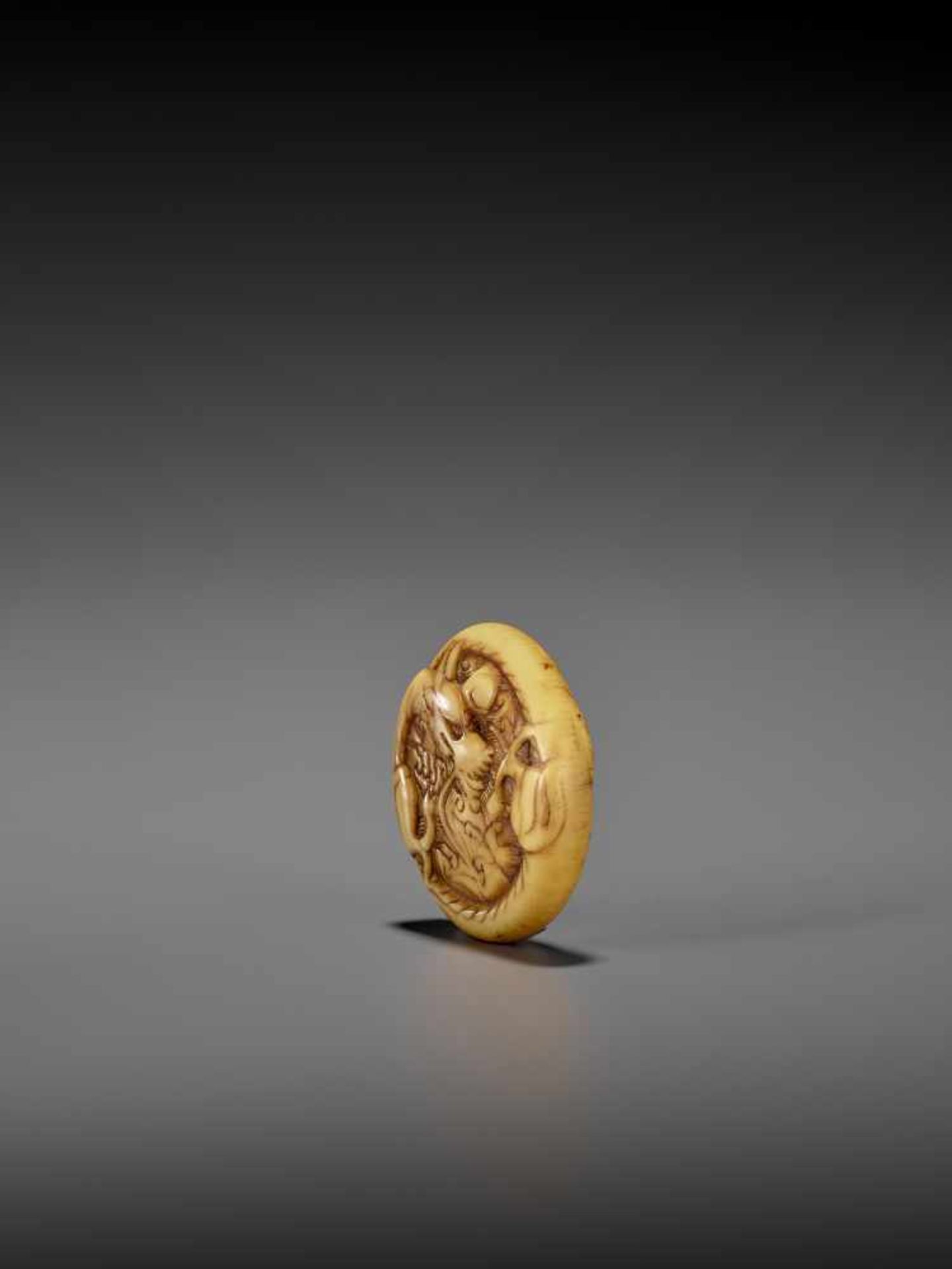 AN EARLY POWERFUL IVORY MANJU NETSUKE WITH DRAGON UnsignedJapan, early to mid-18th century, Edo - Bild 3 aus 5