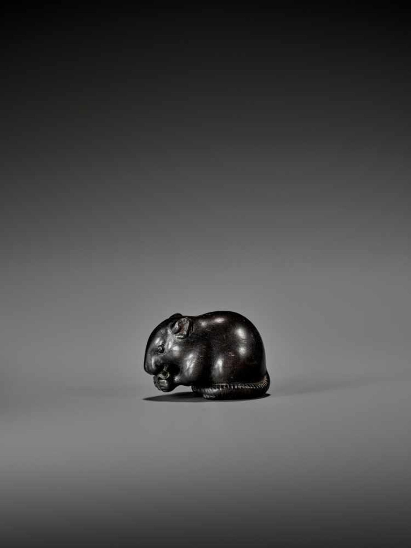 OKATORI: A RARE AND EXCELLENT EBONY WOOD NETSUKE OF A HUNGRY RAT By Okatori, signed OkatoriJapan, - Image 5 of 11