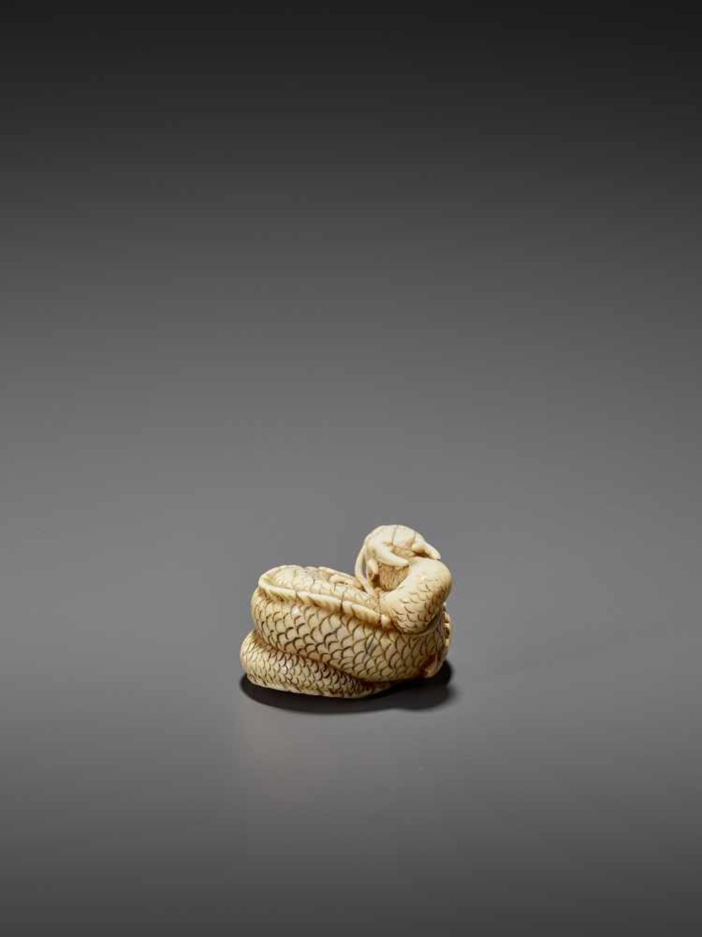 A GOOD IVORY NETSUKE OF A COILED DRAGON UnsignedJapan, Kyoto, late 18th to early 19th century, Edo - Image 6 of 10