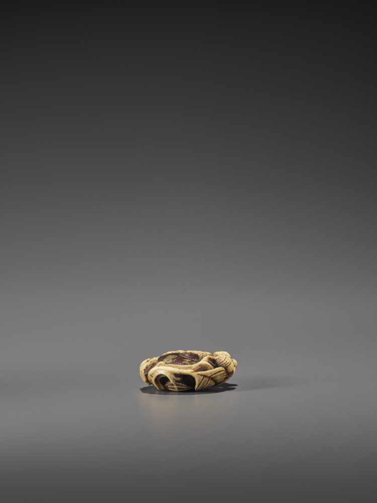 AN EXCELLENT MIXED METAL AND STAG ANTLER NETSUKE OF A SNAIL AND ACORNS UnsignedJapan, Asakusa, mid - Bild 11 aus 12