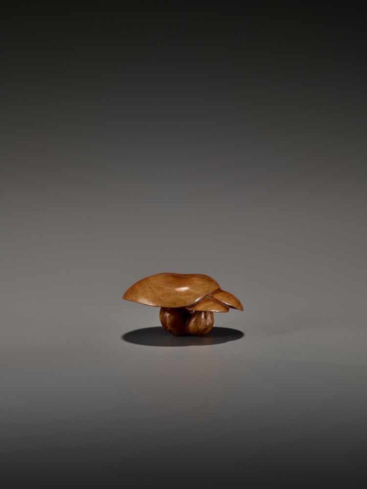 A FINE WOOD NETSUKE OF THREE MUSHROOMS UnsignedJapan, probably Nagoya, early 19th century, Edo