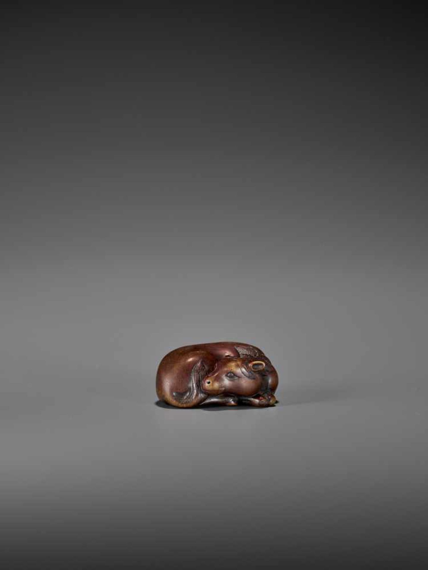 A FINE WOOD NETSUKE OF A RECUMBENT HORSE IN THE MANNER OF TAMETAKA Unsigned, in the manner of - Image 3 of 9