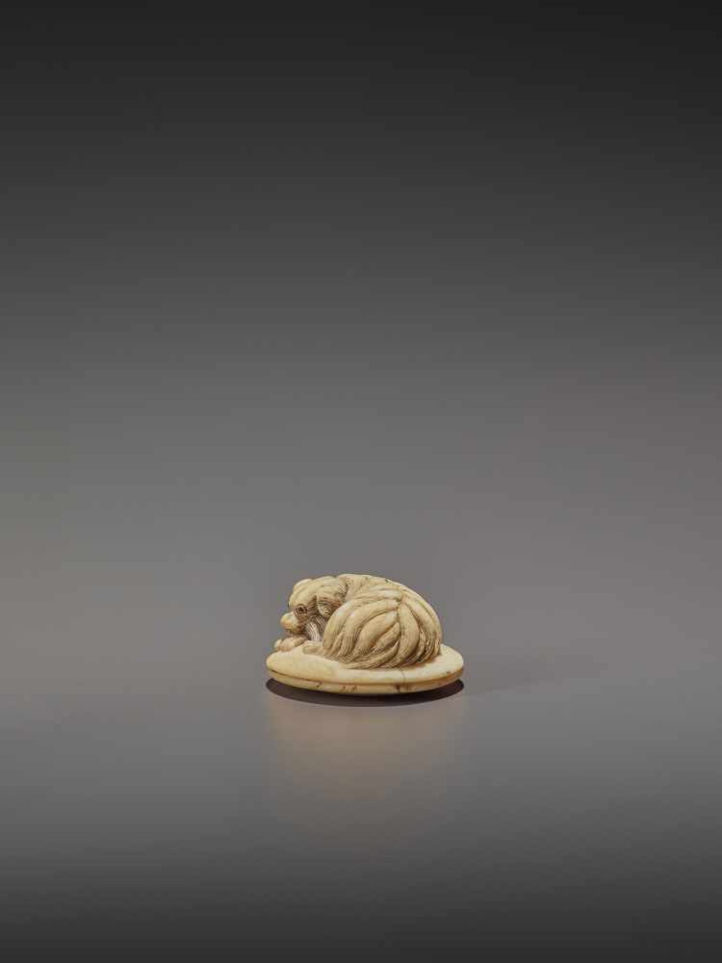 AN IVORY NETSUKE OF A SHAGGY DOG ON A ZABUTON UnsignedJapan, 19th century, Edo period (1615-1868) - Image 4 of 9