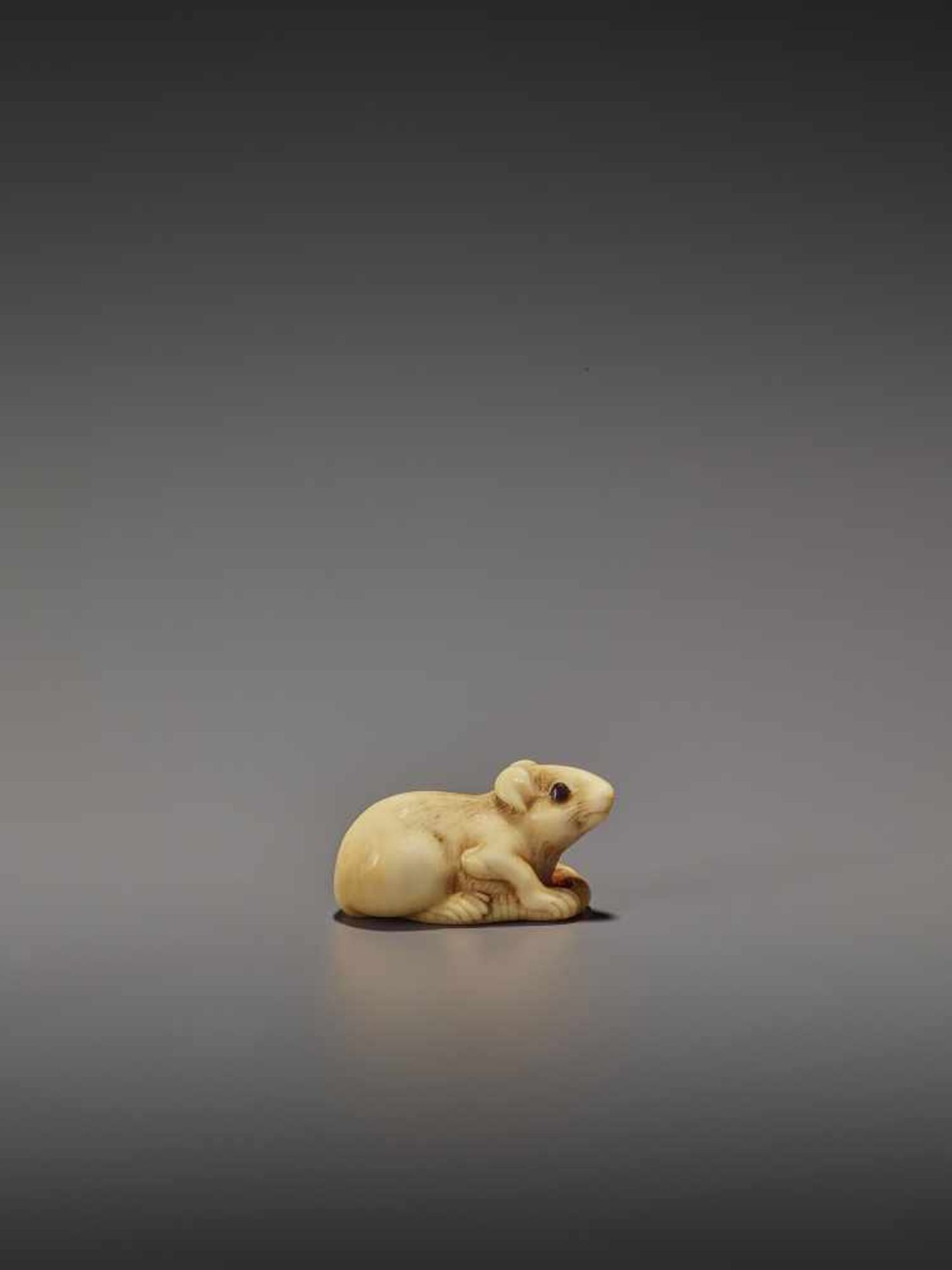 A CHARMING MARINE IVORY NETSUKE OF A RAT HOLDING ITS TAIL UnsignedJapan, 19th century, Edo period ( - Image 2 of 10