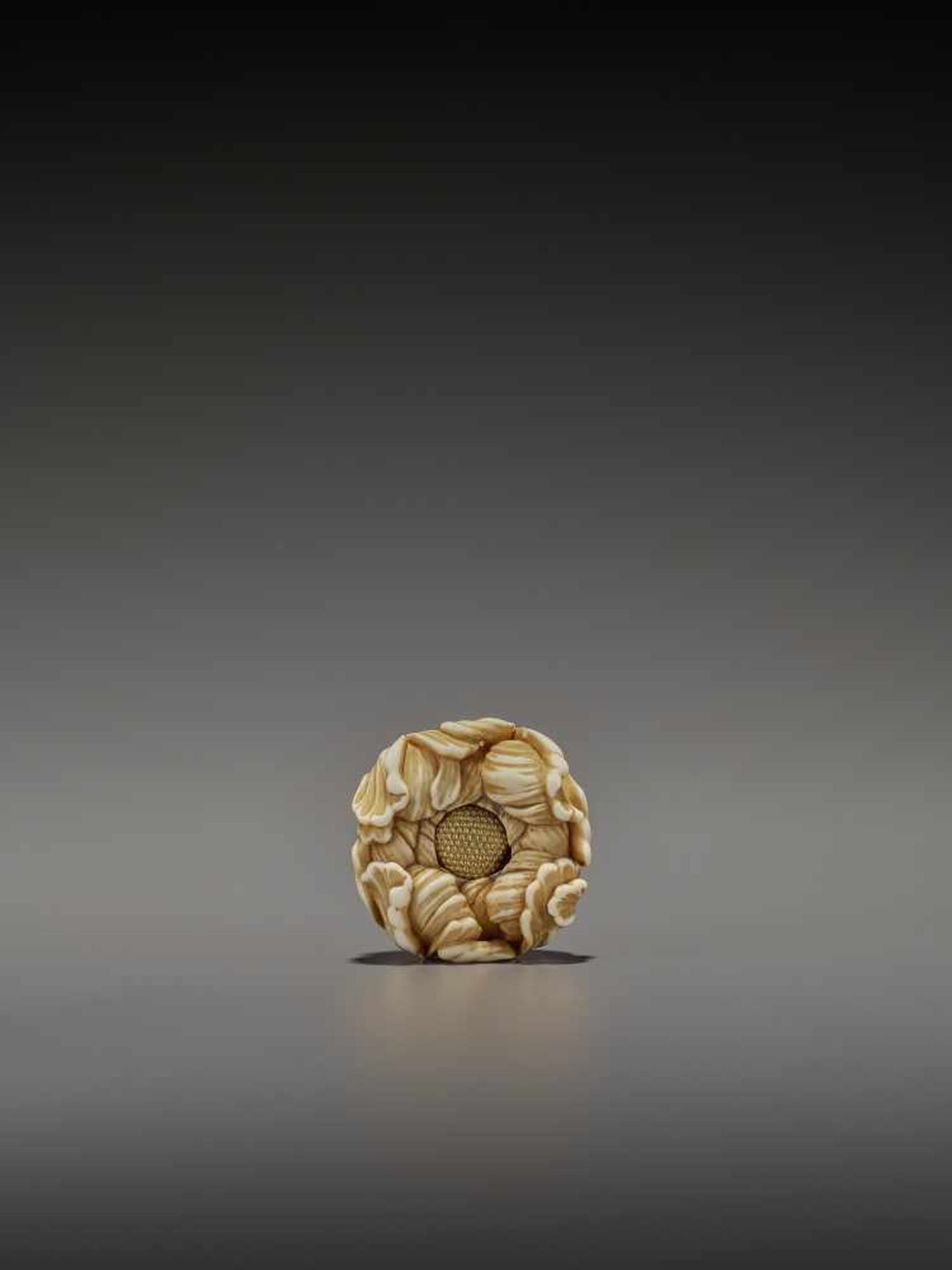 KOHOSAI: AN EXCELLENT IVORY AND GOLD NETSUKE OF A FLOWERING CHRYSANTHEMUM By Ueda Kohosai (died - Bild 3 aus 13