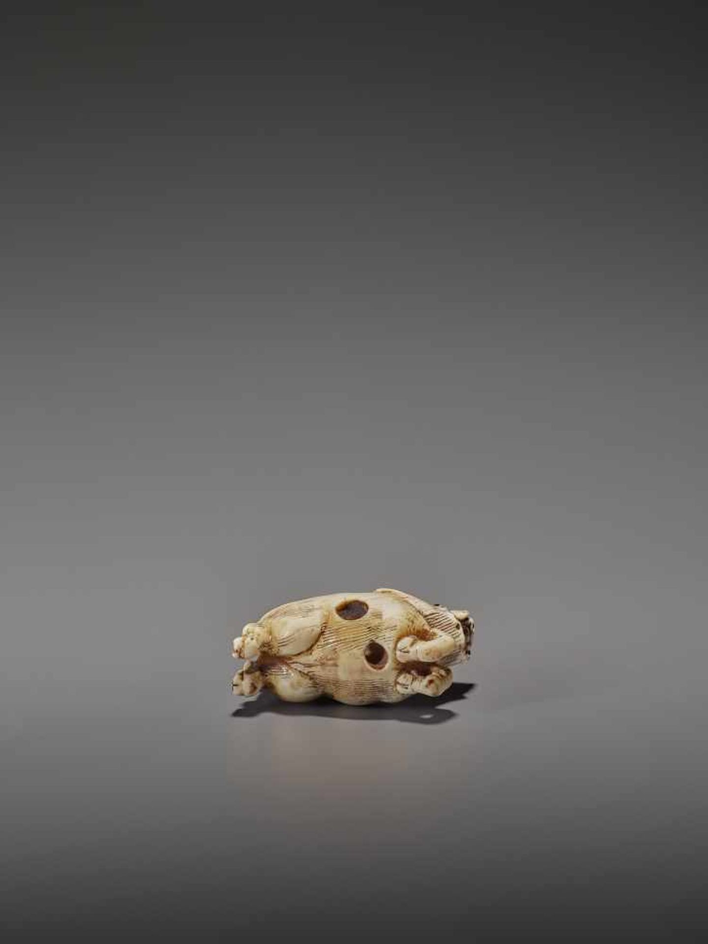 AN UNUSUAL IVORY NETSUKE OF A RUNNING BOAR UnsignedJapan, 18th century, Edo period (1615-1868)A very - Bild 10 aus 11