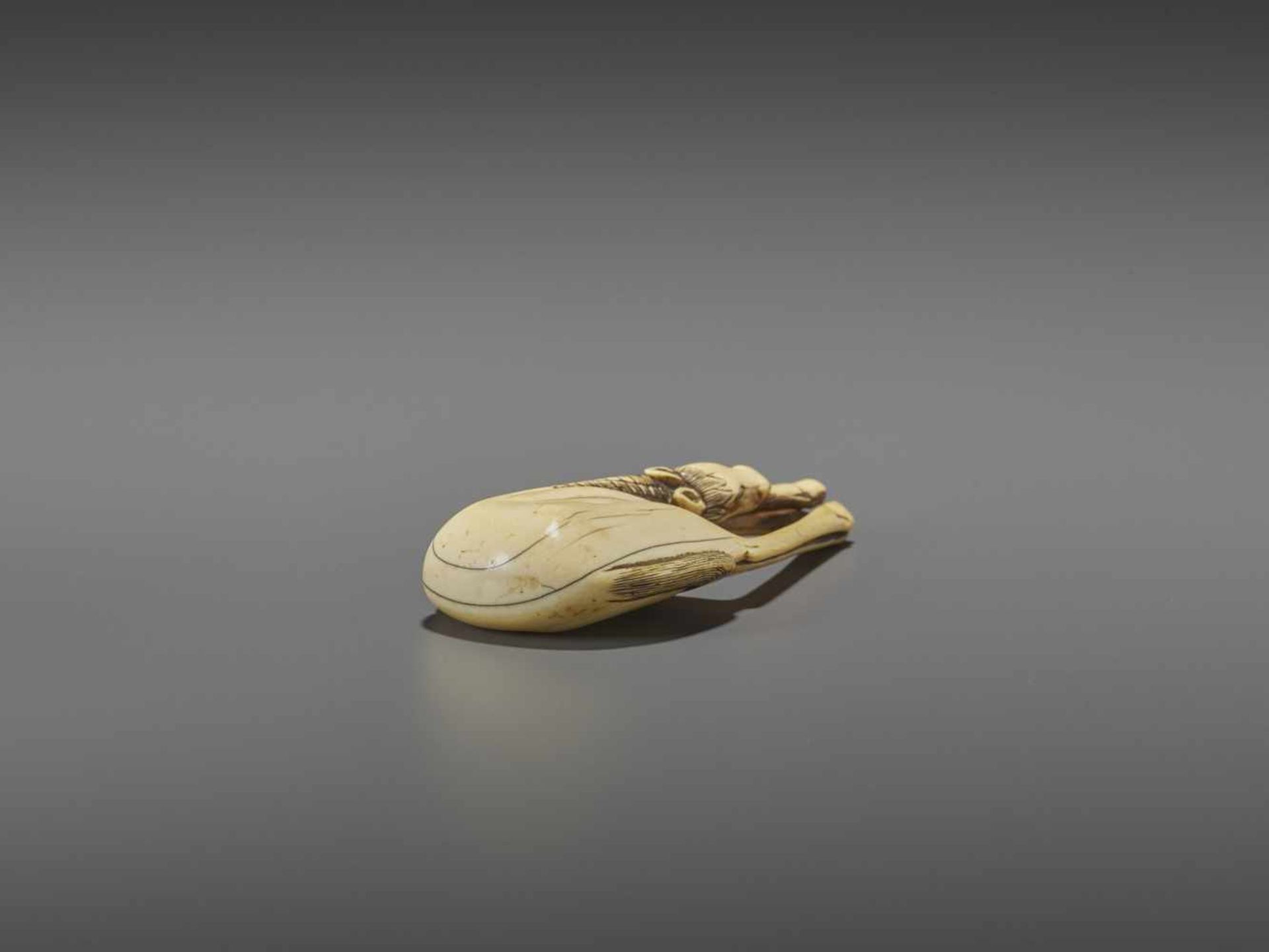 A LARGE AND RARE IVORY NETSUKE OF A GRAZING HORSE UnsignedJapan, 18th century, Edo period (1615- - Image 8 of 8