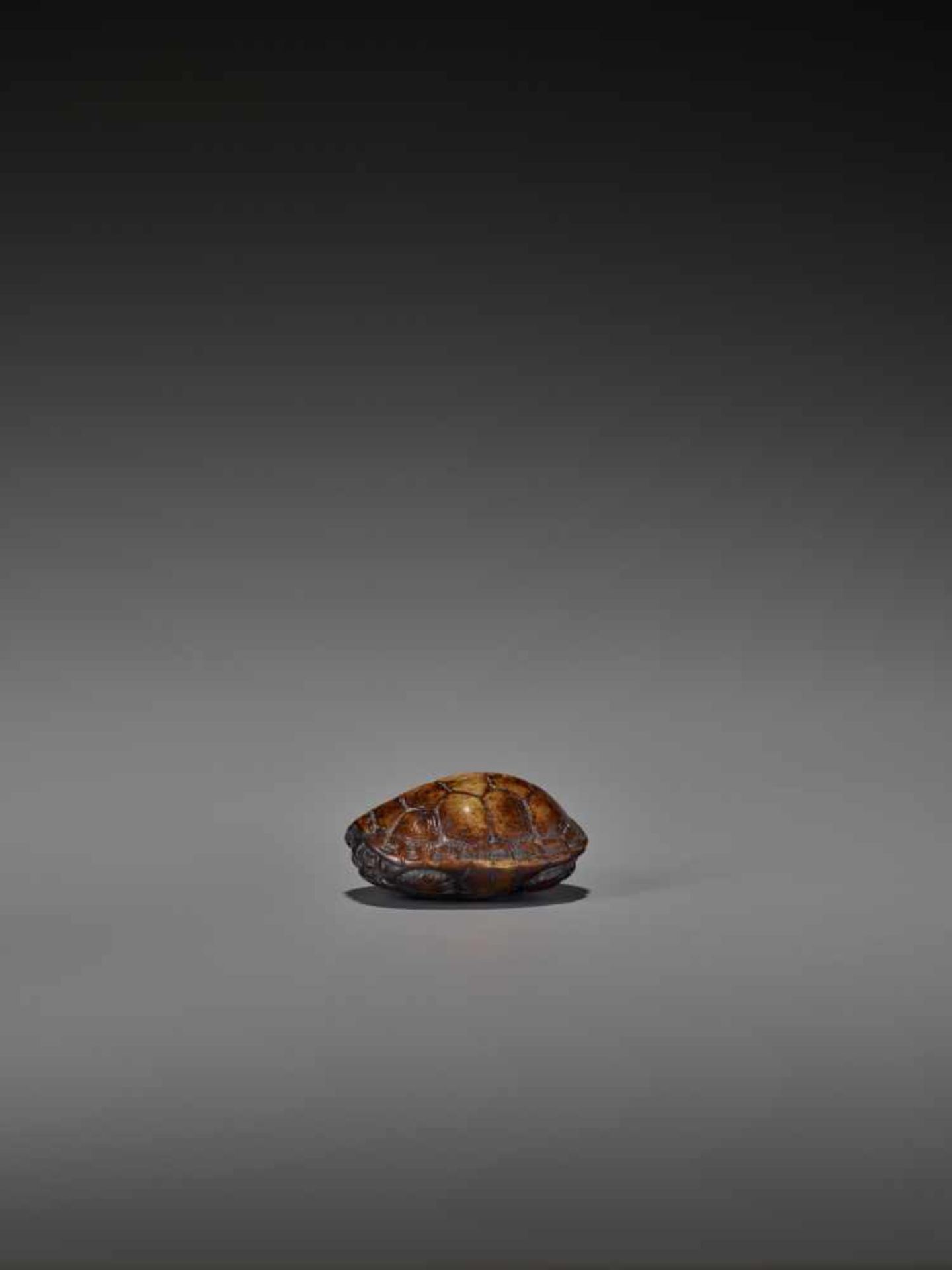 A WOOD NETSUKE OF A RETRACTED TORTOISE UnsignedJapan, 18th century, Edo period (1615-1868)This early - Image 5 of 10