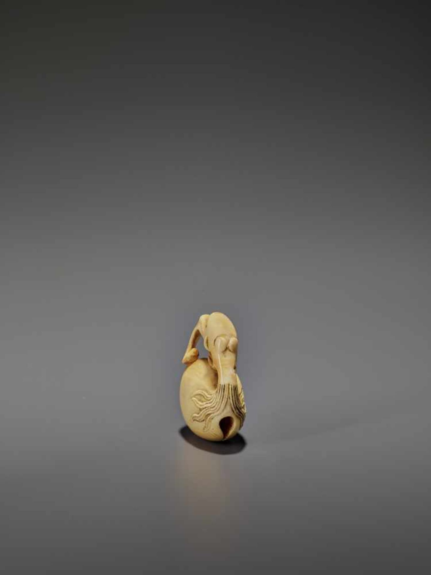 AN IVORY NETSUKE OF A BAKU HEADED MOKUGYO IN THE STYLE OF GYOKUMIN Unsigned, style of Gyokumin ( - Image 4 of 9