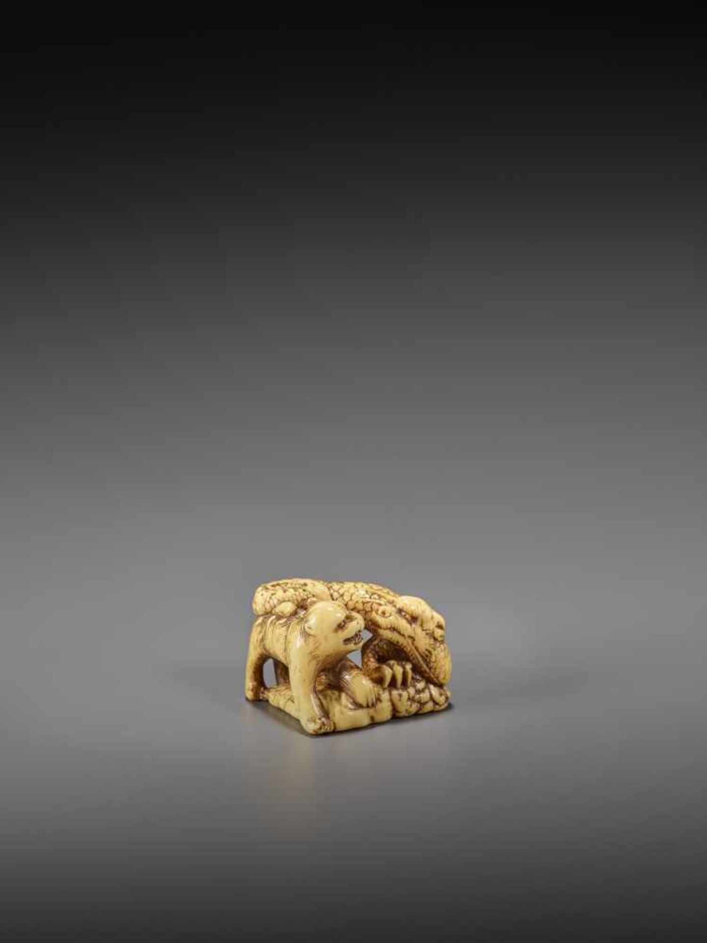 MINSEI: A POWERFUL IVORY NETSUKE OF A CONFRONTING DRAGON AND TIGER By Minsei, signed MinseiJapan, - Image 8 of 10