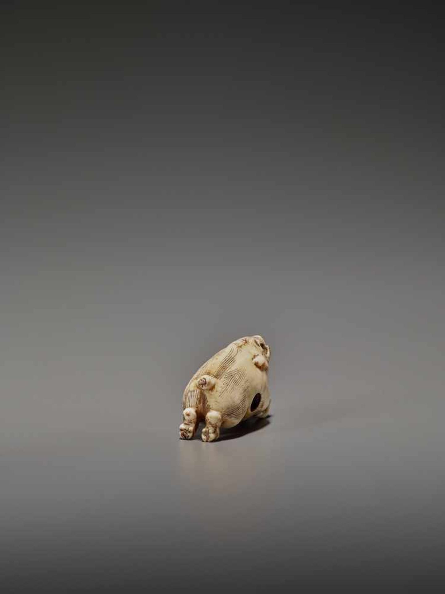 AN UNUSUAL IVORY NETSUKE OF A RUNNING BOAR UnsignedJapan, 18th century, Edo period (1615-1868)A very - Bild 5 aus 11