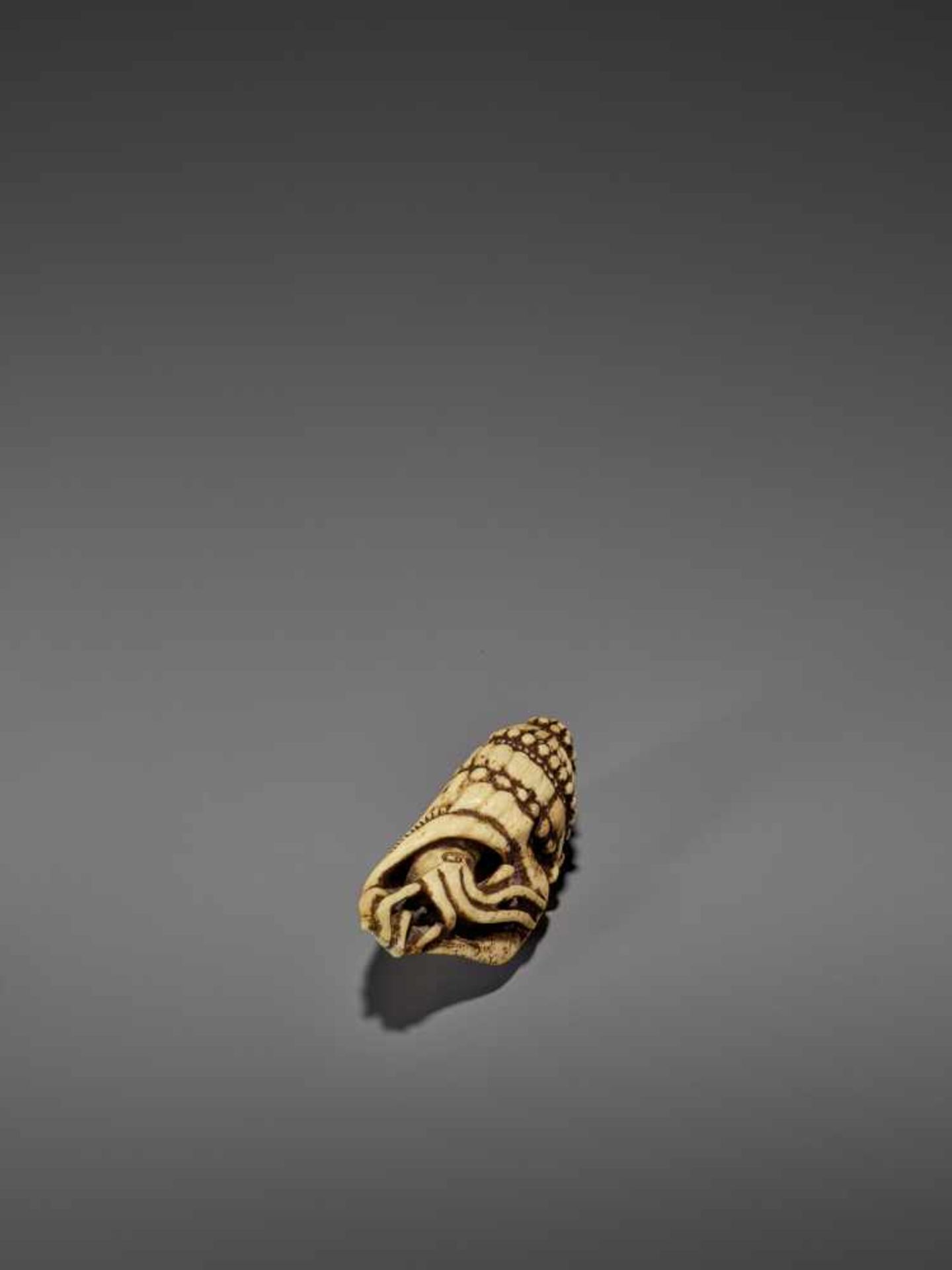 A VERY RARE STAG ANTLER NETSUKE OF A NAUTILUS IN SHELL UnsignedJapan, 18th century, Edo period ( - Image 7 of 8