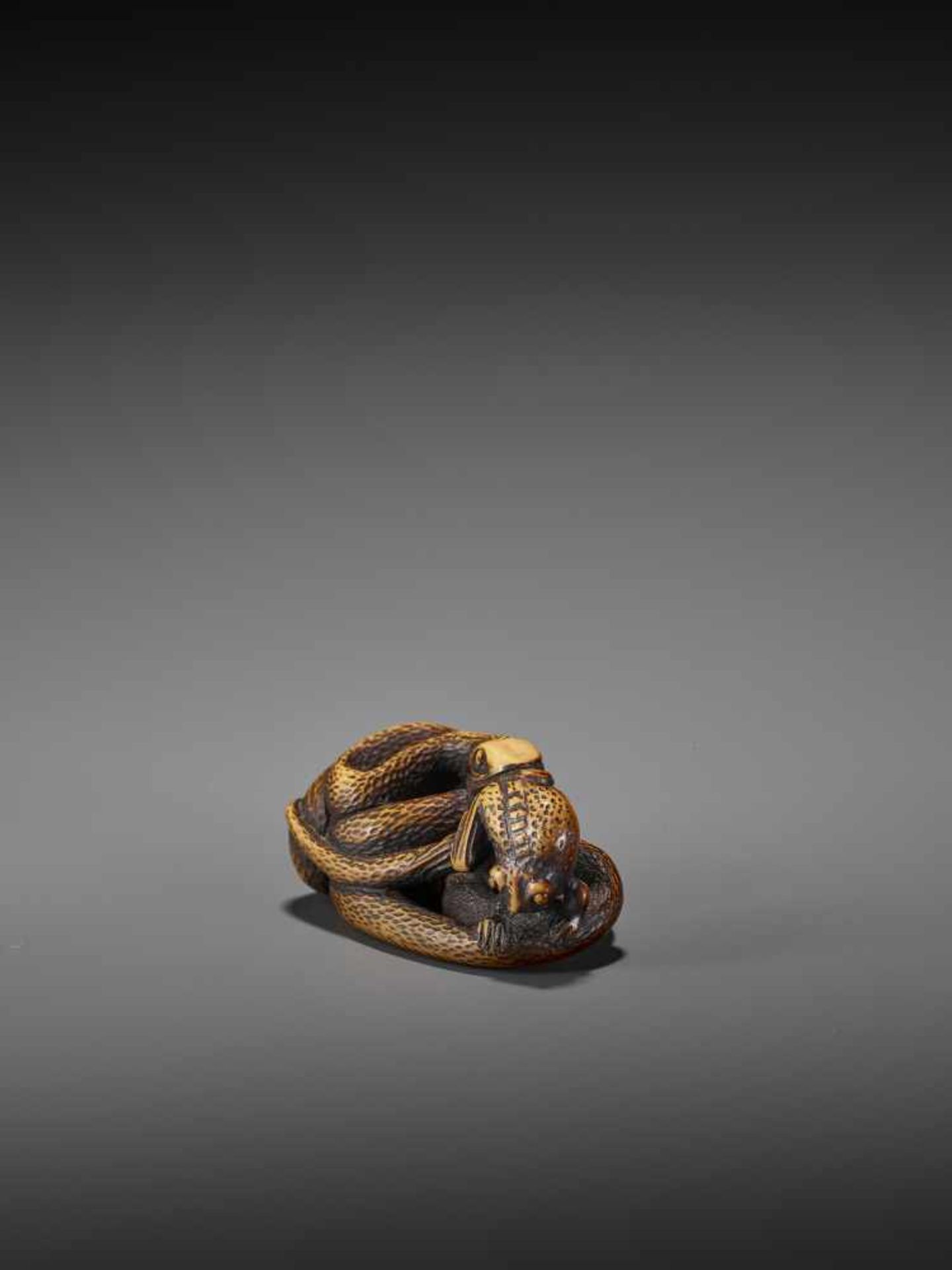 AN EXCELLENT WOOD NETSUKE OF A FROG WITH SNAKE, SANSUKUMI UnsignedJapan, late 18th century, Edo - Image 5 of 9