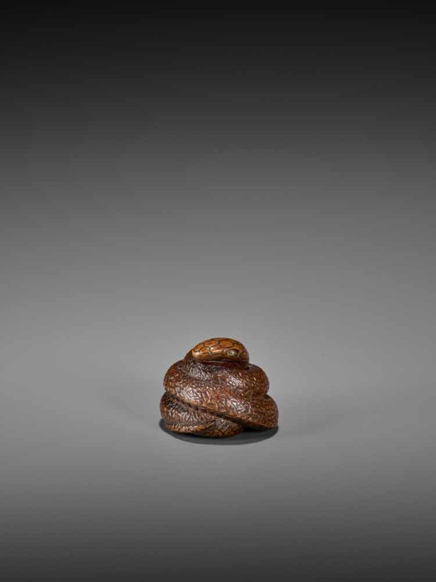 SARI: A FINE WOOD NETSUKE OF A COILED SNAKE By Sari, signed SariJapan, Iwashiro, early 19th century,