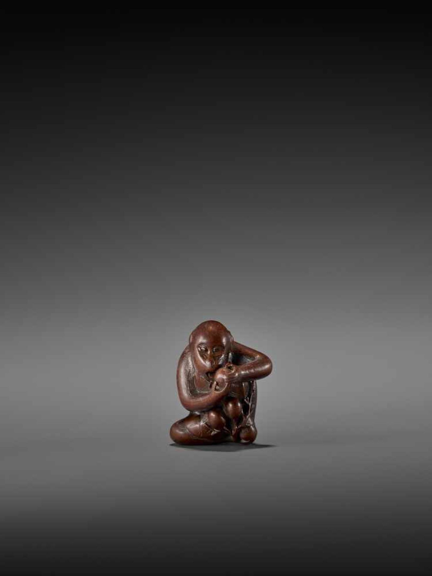 TOMOKAZU: AN EXCELLENT WOOD NETSUKE OF A MONKEY EATING PERSIMMONS By Kano Tomokazu, signed