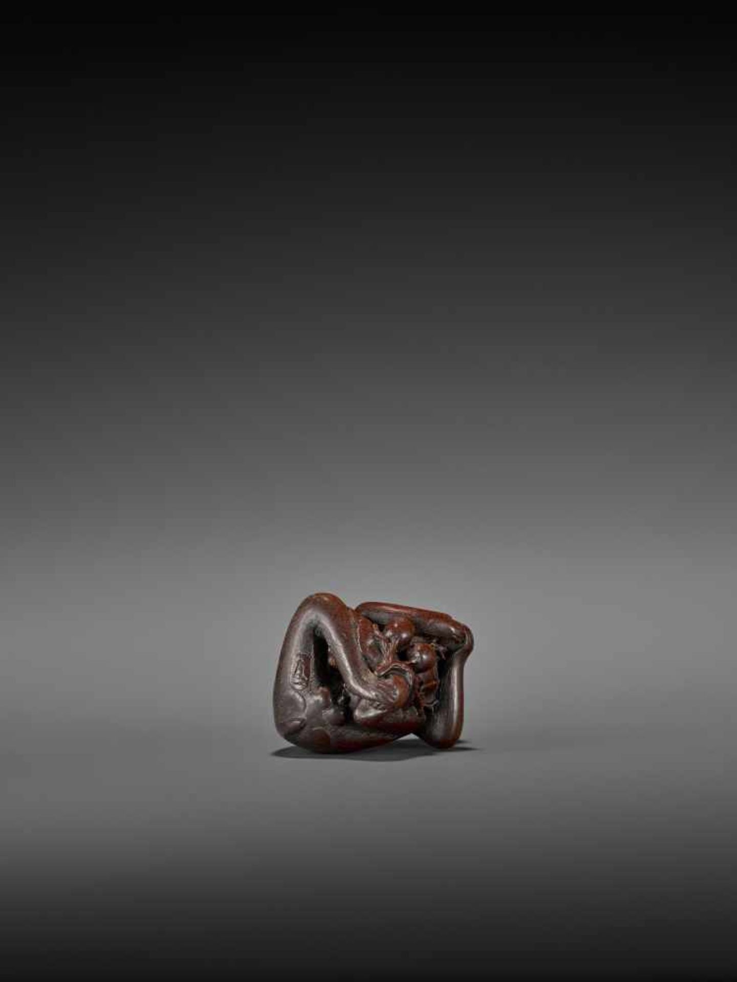 TOMOKAZU: AN EXCELLENT WOOD NETSUKE OF A MONKEY EATING PERSIMMONS By Kano Tomokazu, signed - Image 9 of 11