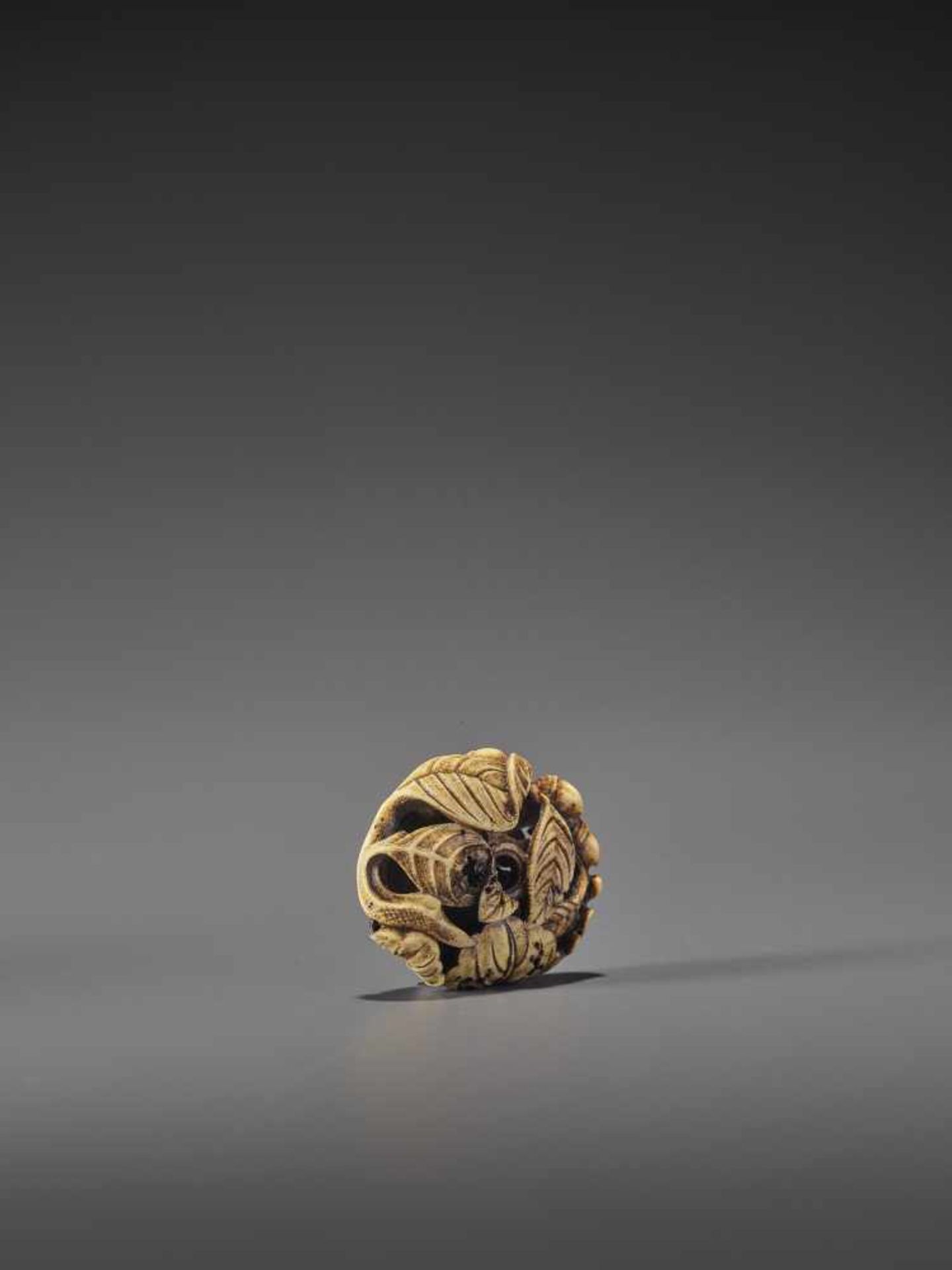 AN EXCELLENT MIXED METAL AND STAG ANTLER NETSUKE OF A SNAIL AND ACORNS UnsignedJapan, Asakusa, mid - Bild 6 aus 12