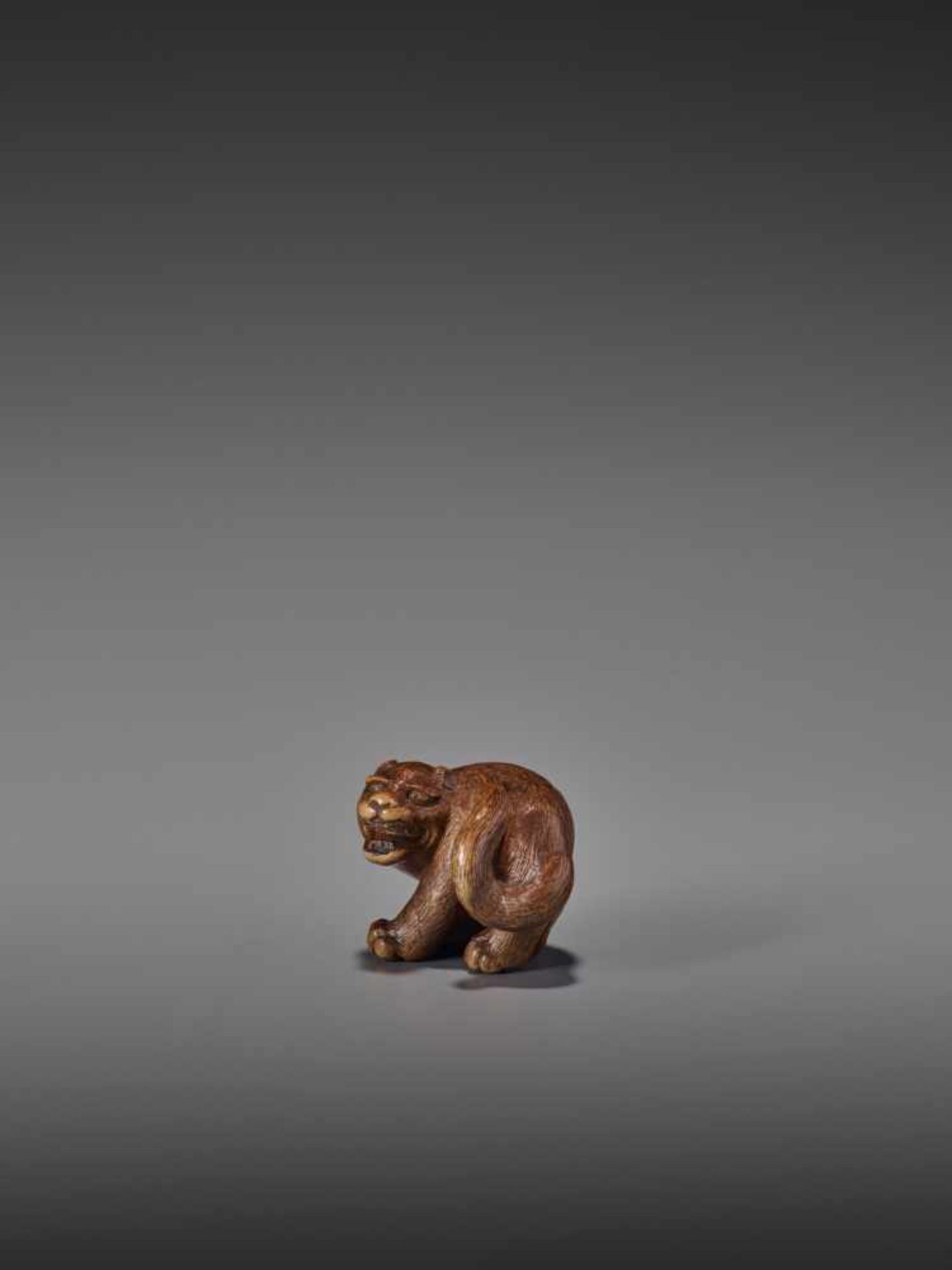 A RARE WOOD NETSUKE OF A SNARLING TIGER UnsignedJapan, 19th century, Edo period (1615-1868)A compact - Image 3 of 11